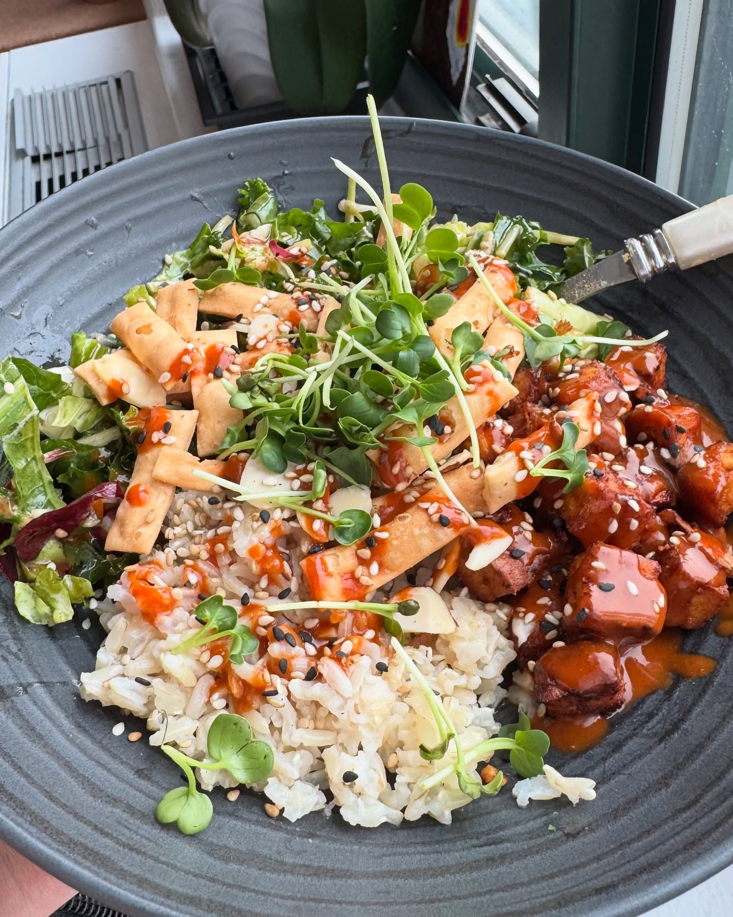 Some balanced bites I’ve eaten lately! 🫛✨
#wellnesswithcourtney #food #nutrition #registereddietitian #RD #holistic #integrativeandfunctionalnutrition #guthealth #balancednutrition #goodmoodfood #eatingformentalwellness #supplements #nourish