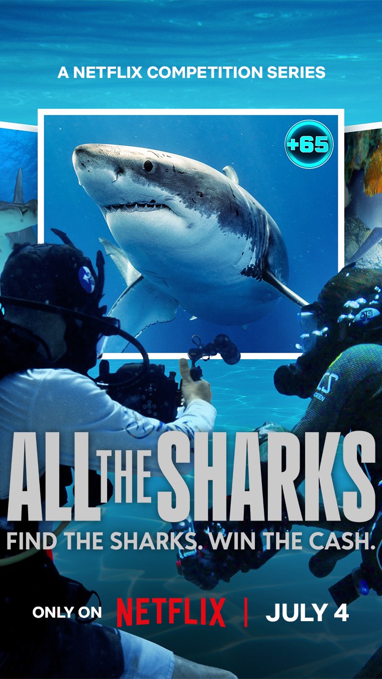 MASSIVELY excited to share this trailer for an extraordinary adventure around the world that I took with a bunch of amazing people last summer. I had the pleasure of being in charge of the underwater department, such a brilliant collective of creatives !!! Make sure you tune into NETFLIX on July 4th and get ready to BINGE watch this nee genre of Television ! In a nutshell … Find the Sharks 🦈🦈🦈🦈 WIN the Cash !!! 💰💰💰Four teams of shark addicts compete to photograph the most sharks in hopes of winning $50,000 for their chosen marine charity !!! @netflix @bestproductioncompany #allofthesharks #sharks #sharklife #travel #netflix #sharkdiving #scuba #underwatervideo