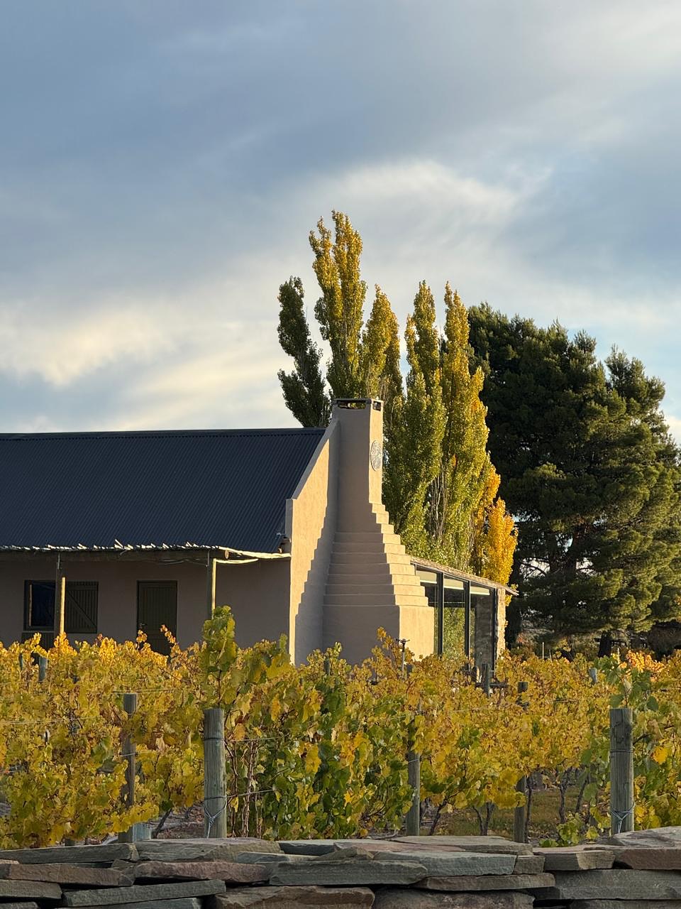 Ever wondered what our vineyards get up to in winter?
Right now, they’re resting, bare branches, no leaves, completely dormant. We leave them be until October, when the growing season begins again.
In the meantime, Ulli recommends pouring a glass of our De Knolle Fonteyn 2021 Syrah. It’s the kind of wine made for quiet evenings and warm fires.
You’re welcome to join us for a tasting, or pop into the wine cellar and take a few bottles home with you.
#luxuryecotravel #darkskyreserve #travelsouthafrica #karoo #karoolife #karooaccommodation #hikingadventures #hikingsouthafrica #cheetahconservation #cheetah #sustainabletravel #stargazing #astrophotography #sutherland #astronomylover #wideopenspaces #natureescape #nightphotography #nightsky #astronomy #thisissouthafrica