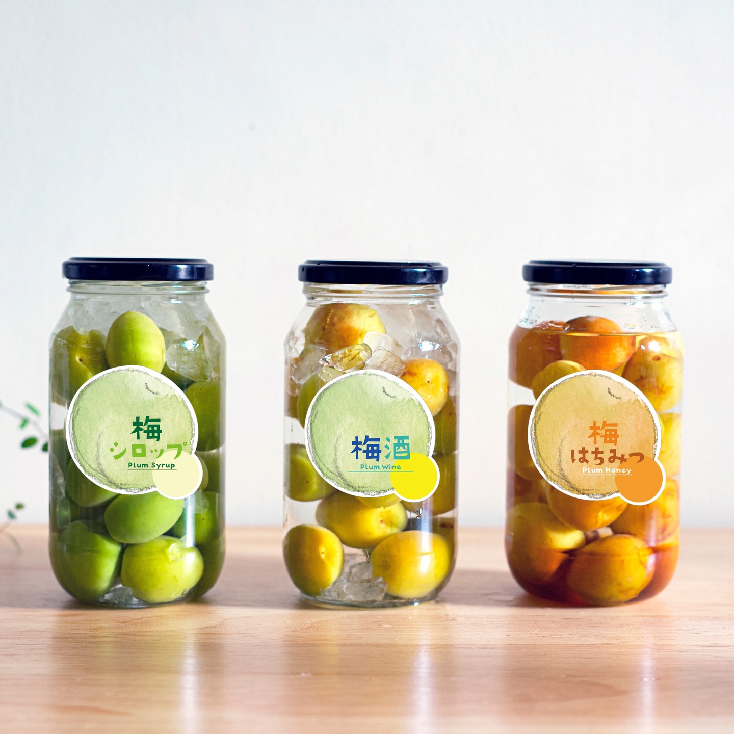 今年も梅の季節になりました。
毎年梅干しを漬けていたのですが、今年はちょっと気分を変えて、梅シロップとクラフトコーラを仕込んでみました。これが、思った以上に簡単で美味しくて…✨
保存瓶に貼るラベルがあったらかわいいなぁと思い、自分用にラベルシールをデザイン。
せっかくなので、梅を漬ける方にも使っていただけたら嬉しいなと思い、無料でダウンロードできるようにしました。
ラベルには、日付を書けるスペースや、材料がメモできる余白もつけています◎
シール用紙に印刷して、瓶にペタッと貼るだけ。サイズ調整もできるので、お好みでどうぞ。
ダウンロードは「畑の仲間たち」のサイトから。
↓こちらからDLできます(コピペして使ってください)
https://hatakenonakama.com/04_Seal/00_all_seal.html
来年の梅の季節がちょっと待ち遠しくなりました🍑
🖼 サンプル画像 3枚
📸 実際に漬けた瓶の写真 2枚
#梅シロップ #梅コーラ #自家製シロップ #手作りラベル
#梅しごと #保存食 #クラフトコーラ #梅好き #梅活
#畑の仲間たち #無料ダウンロード #梅シール
#homemadesyrup #plumsyrup #ume #umelabel
#umeplum #pickledplums #craftcola #japanesetradition
#preservedfruit #homemadelabel #freelabeldesign
#umeproject #diylabel #japaneseplum