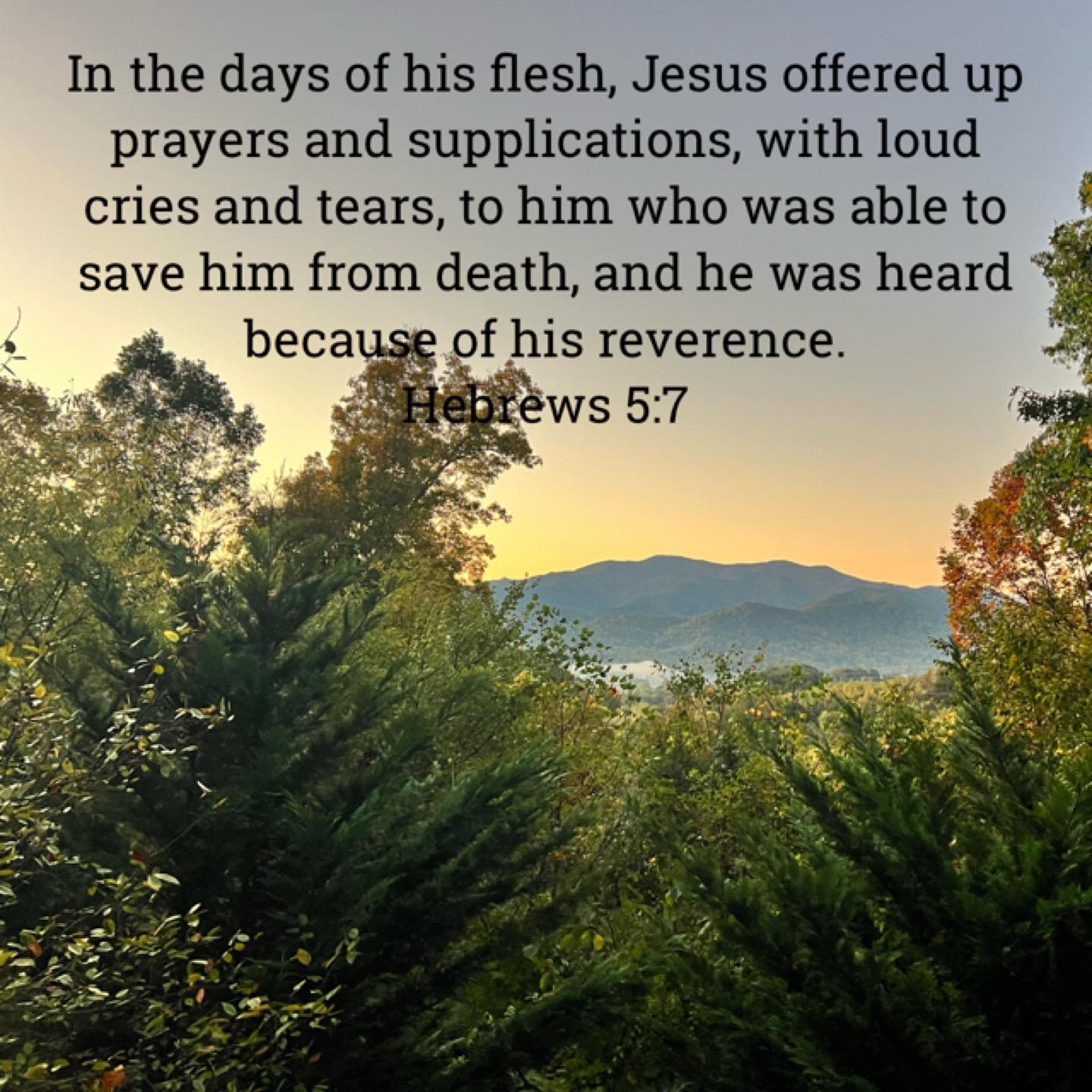 Follow the example of Jesus.