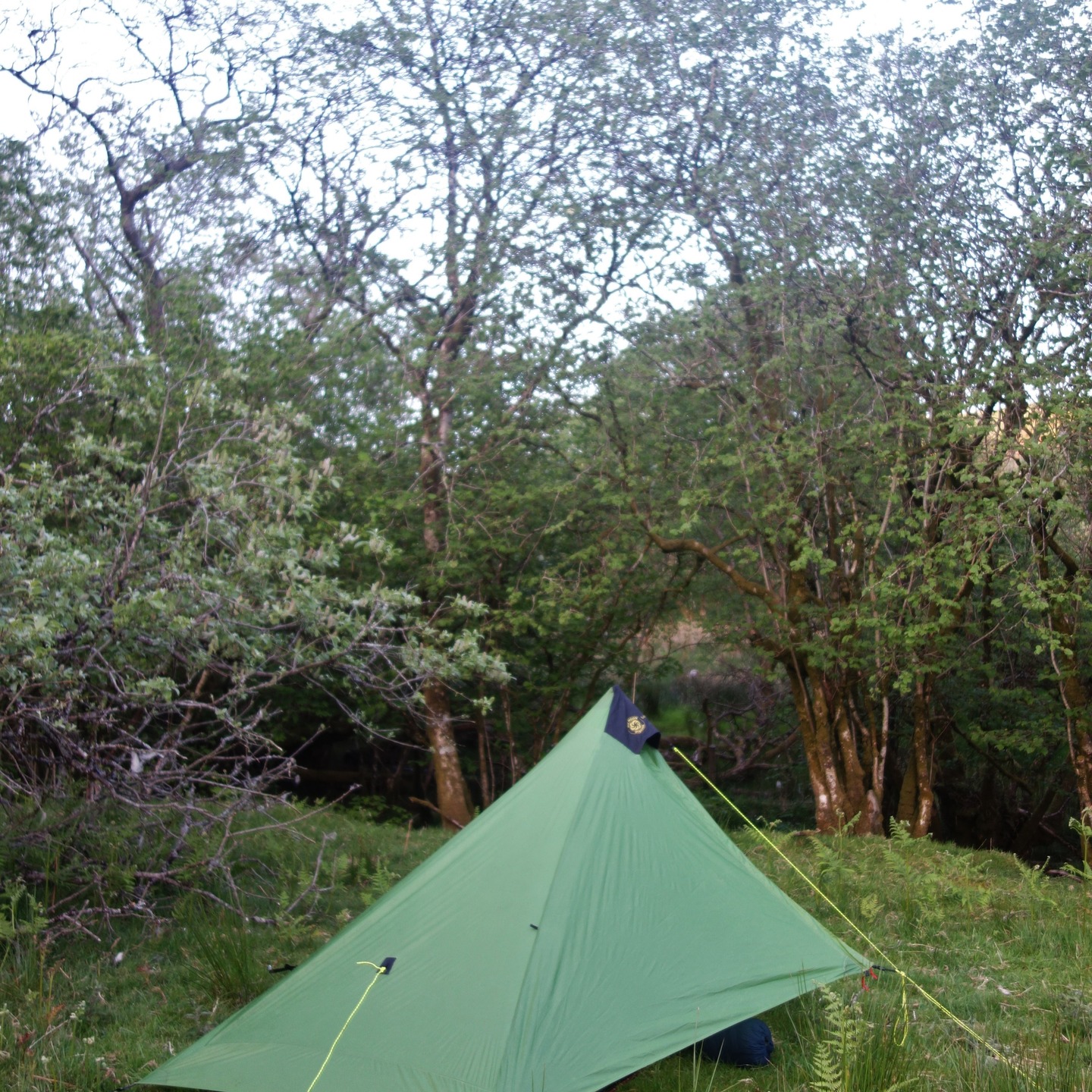 This is what I woke up to on the second day of my Epynt Way. I saw the pitch from above on the hill. I descended into a meadow/glade, and on arrival at my pitch, I glanced into the stream, which was 3 yards away. There, as I peered into the light-filled water course, was a Heron standing, focused on the hunt. I wasn't quick enough with my camera, but I just knew after over 15 miles that this was the right spot. The bird spirit had spoken. The following morning, the stream/brook was still jiggling its waters, and the sun was rising. It was fresh and wet, dew-laden. As I dropped my tent, I glanced up the slope - there bobbing across it was a Stoat. Later, a Hare would glide passed me like a kangaroo. If you haven't watched day 2 on my YouTube channel, just copy and paste this title into the search bar: The Epynt Way, Day 2: The Western Flank | People, Valley Views, Brews & Intense Camp Encounter - thanks, enjoy with a cuppa this amazing nature filled part of Mid Wales. #epynt #epyntway #midwales #midwalesadventures #backpackinguk #backpackingwales #walescollective #naturetrail #wildcampinguk #ukwildcamping #naturetones