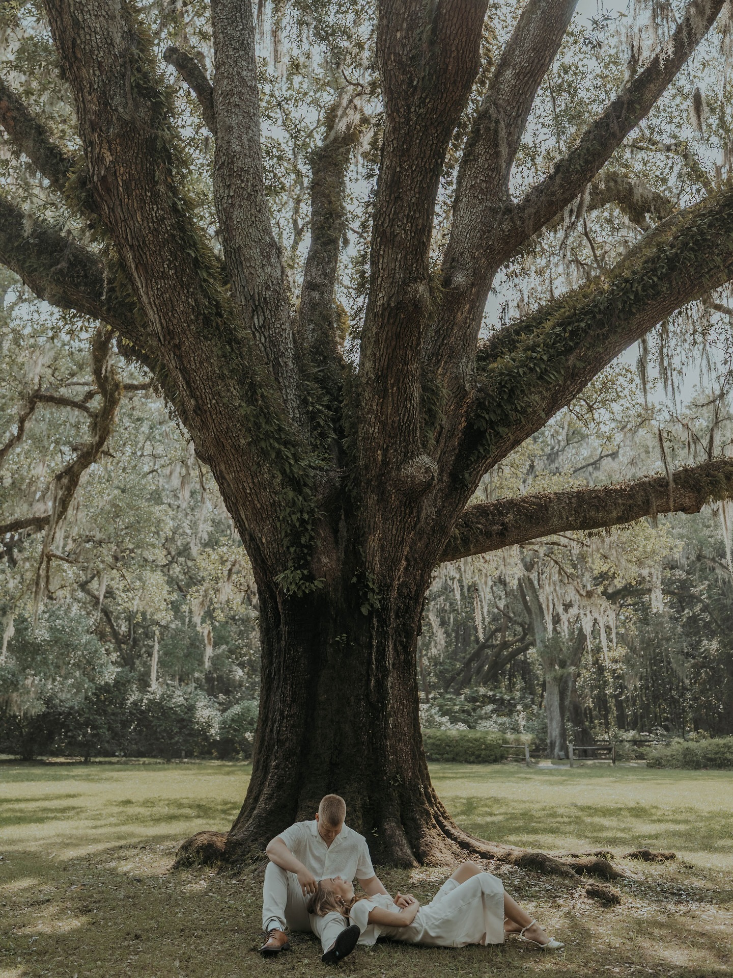 Florida, but not the beach 🍃🐊
I can’t wait for your wedding next year and for you guys to be The Wagner’s 🥹🩷
#indianaphotographer #travelphotography #travelphotographer #florida #engagement #engagementphotoshoot #engagementphotographer #love #engaged #floridaphotographers #floridaphotographer #