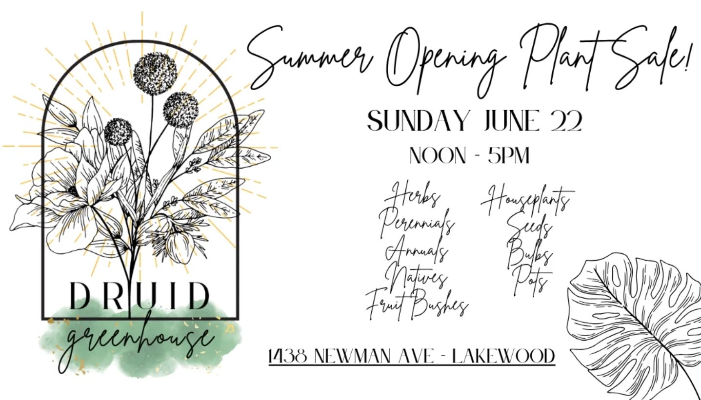The first plant sale of the season is this Sunday June 22nd! Noon - 5pm @ 1438 Newman Ave Lakewood.
Come get your annuals, native perennials, houseplants & more!
#druidgreenhouse #plantsale #lakewoodohio