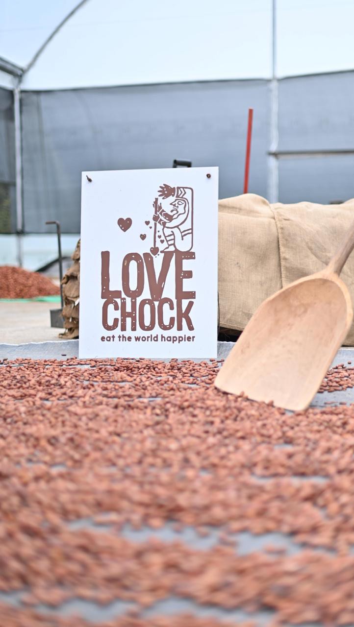 Fermentation has just begun for our cacao destined for @lovechock_official, one of the pioneers of raw chocolate in Europe🍫
No visible color change yet, but already you can spot the natural diversity—white and violet beans straight from our land🌱
In the days ahead, these beans will darken as fermentation draws out their acidity, unlocking the complex flavors that will shape Lovechock’s unique bars.
#cacaobeans #lovechock #ecuadoriancacao #cacaoecuatoriano #haciendapalosanto #cacaomass #cacaolovers