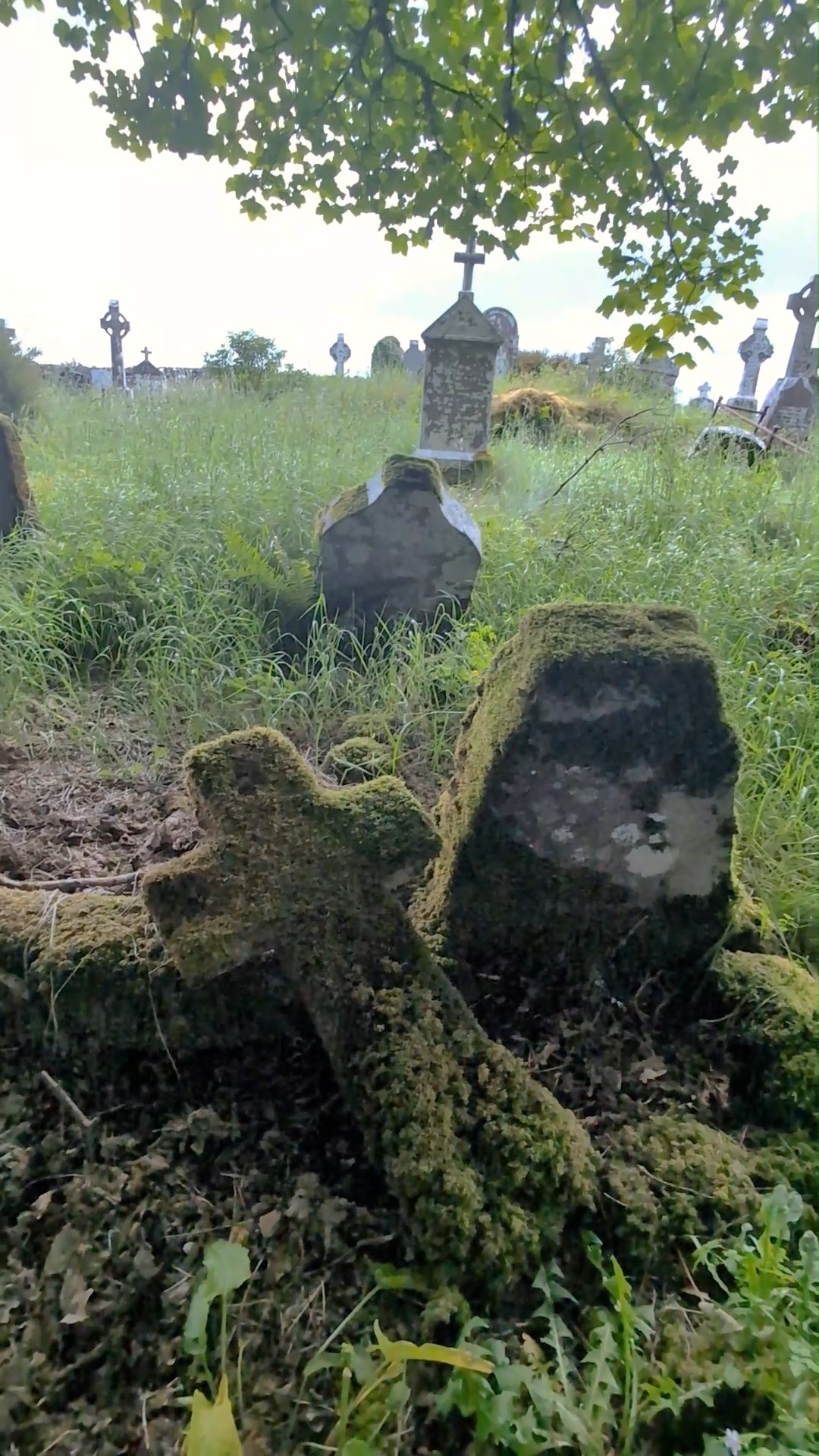Always love roaming around an old cemetery. We visit plenty on our tours — follow to see more.
#irelandinfocus #irishculture #oldireland #cemetery #graveyard