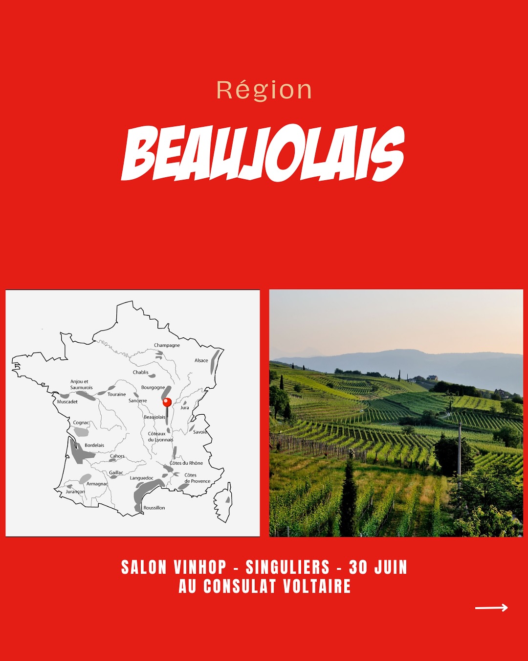 À la rencontre des vignerons du Beaujolais.
@raph_domainestcyr
@clos_de_mez
@annesophiefleurie
@paulhenrithillardon
@richardrottiers
@domaine_marc_delienne
@antoine.sunier
@bonnetcotton
@davidbeaupere
Venez les découvrir lors de notre salon SINGULIERS, où plus de 90 vignerons seront présents.
📍Le Consulat Paris 11ème
📆 30 juin 2025
‼️Réservé aux professionnels - lien d’inscription en bio