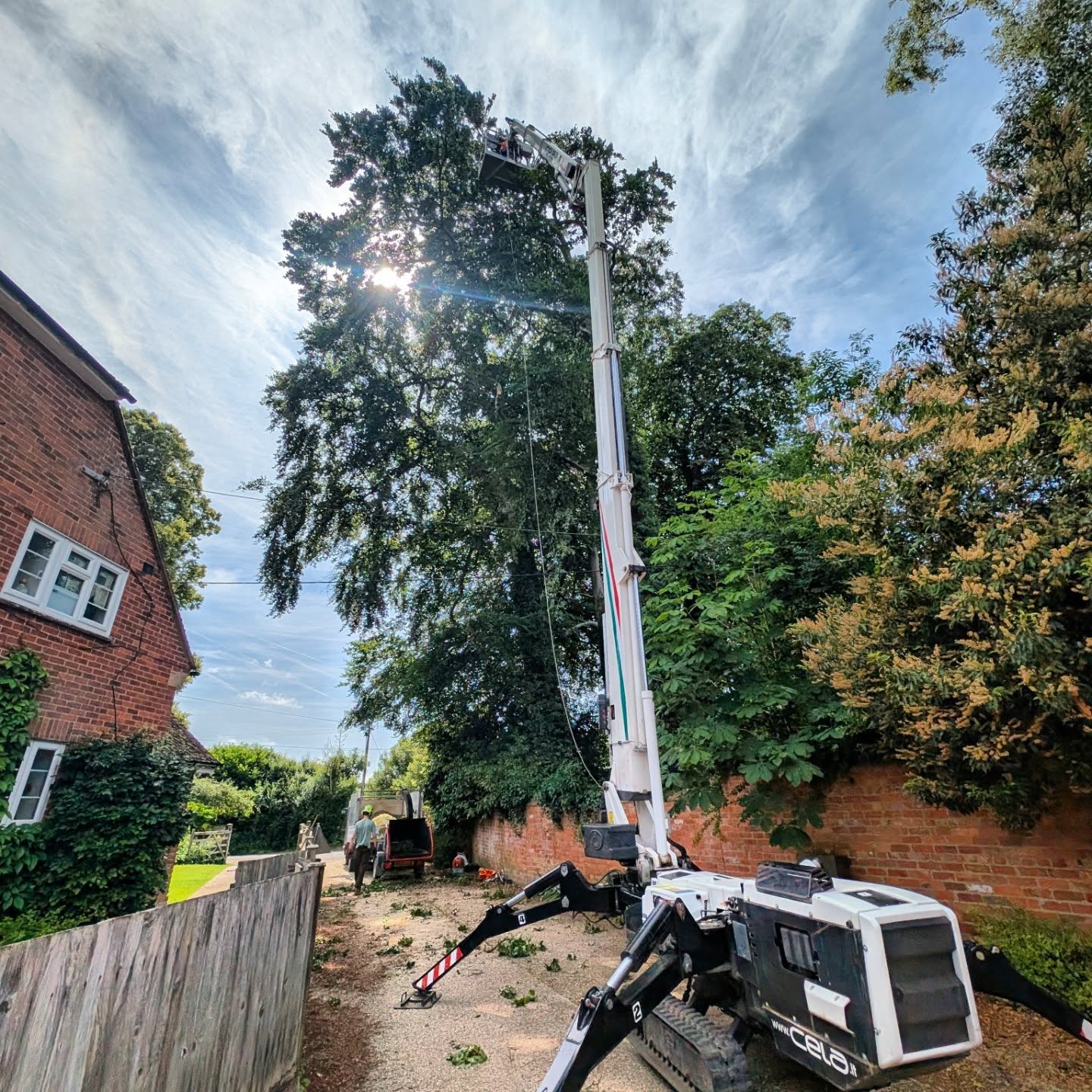 An important hard reduction on these two Beech trees that had various areas of major dysfunction throughout the canopy that had been left significantly biased over an access road and property following a previous removal at the rear of the tree group 🌳 @treemonkey13 providing the mobile ladder, optimising efficiency and limiting disruption to the neighbours access🪜🏗️ @freddie.halls on the chip up 💪
#treework #treesurgery #treesurgeon #hampshiretreesurgeon #andovertreesurgeon #wiltshiretreesurgeon #salisburytreesurgeon #winchestertreesurgeon #arborist #treereduction