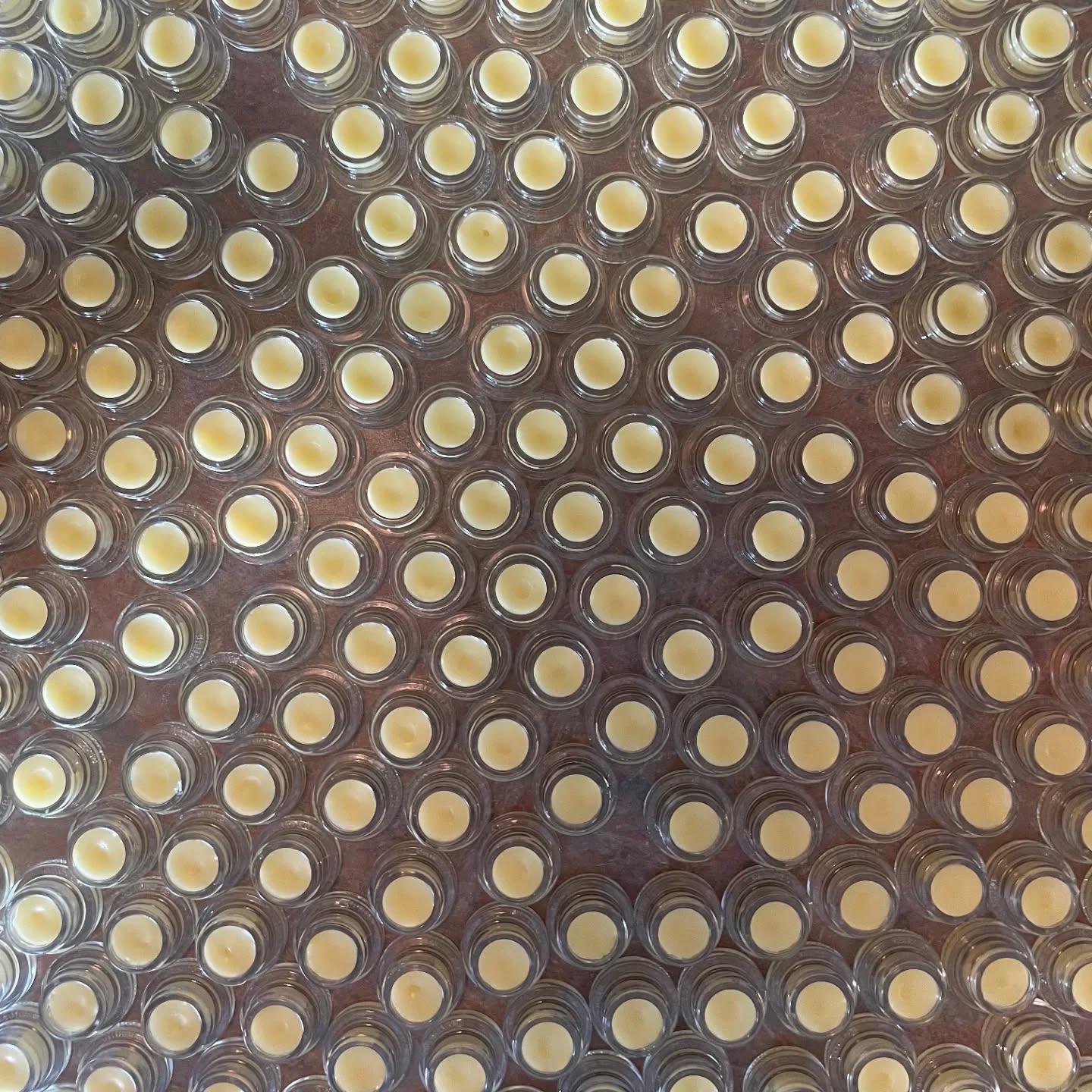 Fresh Lions Mane Moisturizer samples ready for the long weekend ahead! Hamilton the 28, 29, 30 & 1st. Grandbend Sunday, Kerwood Saturday! Will be busy bees 🐝 lots of products fresh and ready to go!
https://www.yemaya.ca/product-page/lions-mane-moisturizer
#lionsmane #lionsmanemushroom #ointment #salve #cream #samples #Yemaya #yemayanaturalproducts #Hamilton #grandbend #Kenwood #longweekend #busybees #shoplocal #ontario #canada #canadian #supportlocal ##farmtoskin #farmers