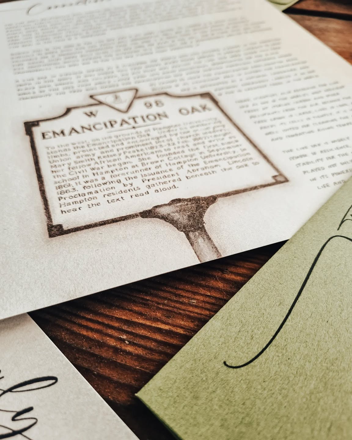 Sneak peek of our July Journal!
Any guesses at what kind of oak we are slowing down to observe next month?
#thefieldjournals #fieldjournal #summerhomeschool