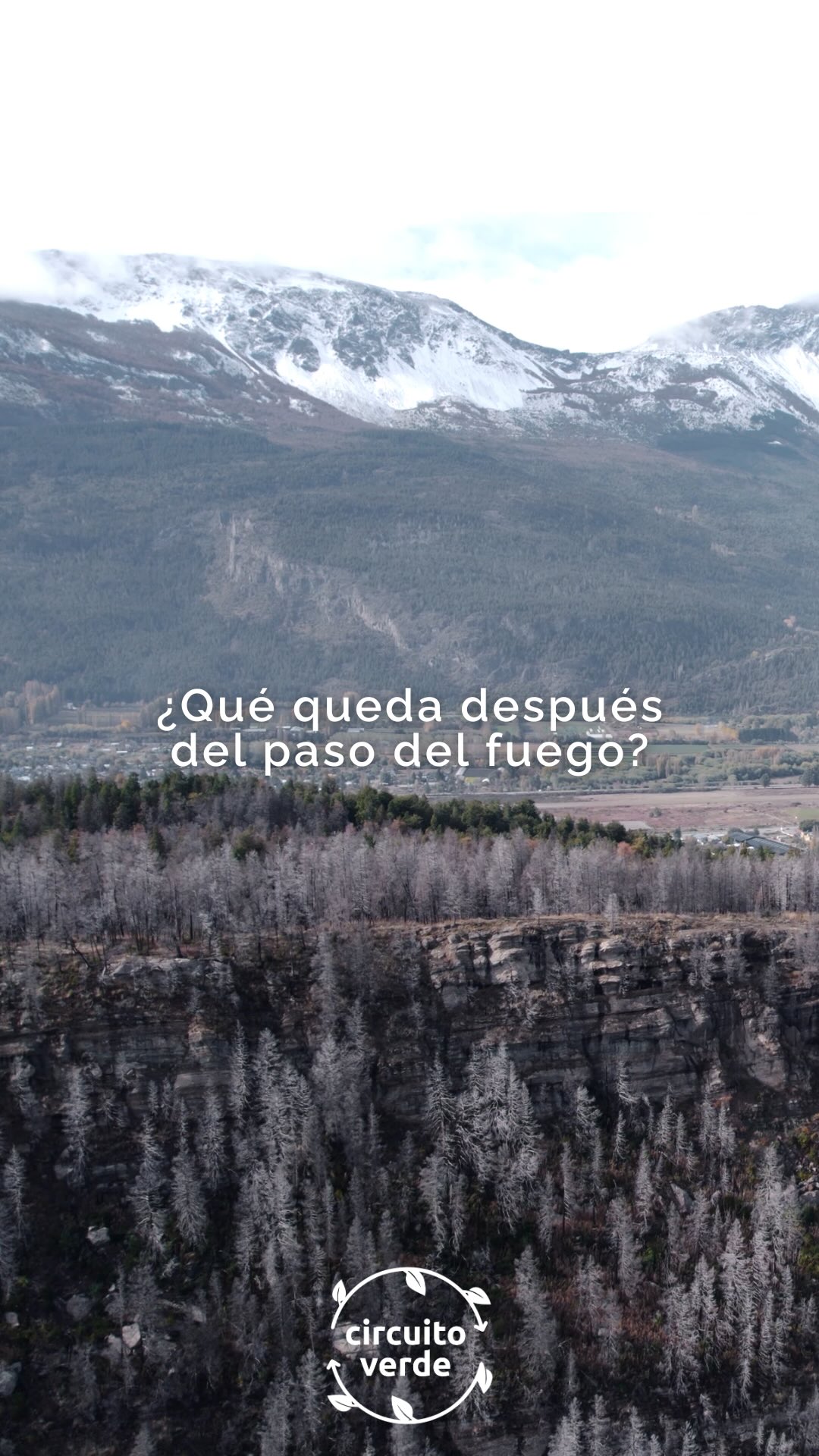 ¿Qué queda después del paso del fuego? Les compartimos un video sobre la jornada de restauración en Cabeza del Indio, El Bolsón del pasado abril junto con el @intabariloche . Una vez más volvimos al bosque para seguir construyendo la restauración ecológica en comunidad. Queremos seguir reflexionando sobre el impacto que generan nuestras acciones y el valor de compartir ideales y accionar para ayudar al bosque a volver con más fuerza.
📷 Vídeo: @branko_zuniga