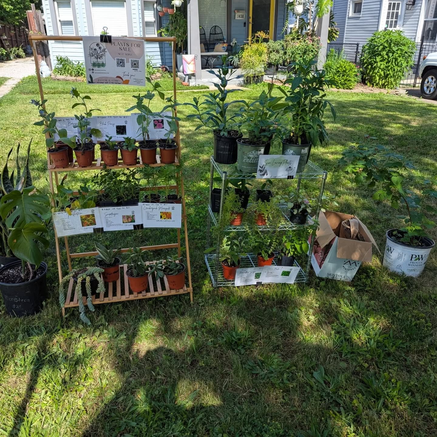 The self-serve plant stand is out at 1438 Newman Ave - Lakewood!
It's hotter than hell outside, but you can come get some super cool plants for your garden and house!
Uncommon annuals, native perennials, and berry bushes ripening and ready for your yard!
Venmo, PayPal, or old school cash in the mailbox!
Stay cool everyone 🥵
#druidgreenhouse #plantsforsale
#plantstand #lakewoodohio #plantsale
#smallbusiness