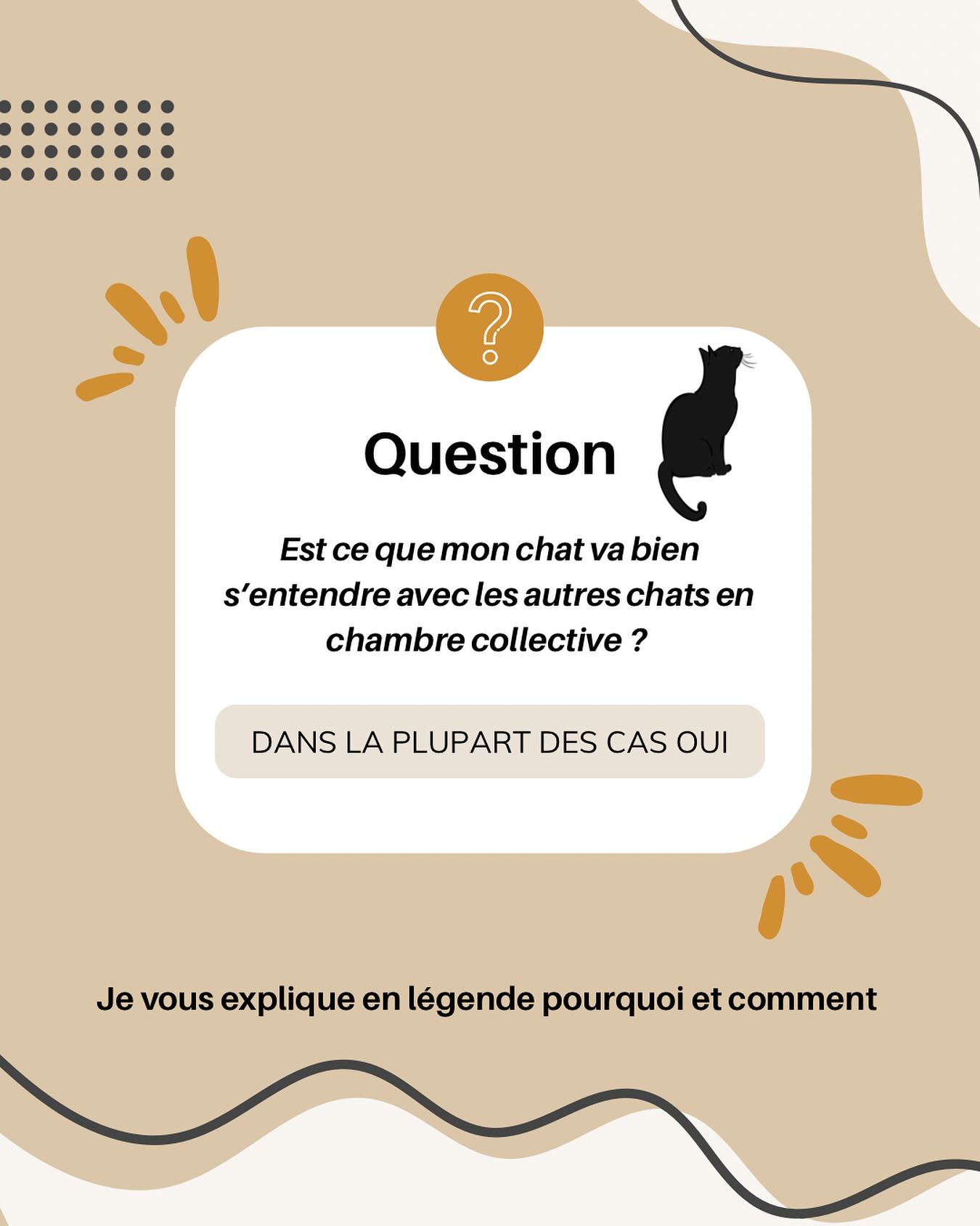 Je vais prendre une image que j’aime bien donner : le Club Med ! 🏝️
Imaginez que vous arrivez en vacances, que vous prenez un transat pour la journée, puis que le lendemain, vous reveniez et trouviez quelqu’un installé dessus. Vous allez en changer sans faire d’histoire (normalement). 😅
Imaginez maintenant l’inverse : vous rentrez d’une journée de travail et vous trouvez un inconnu sur votre transat, dans votre propre jardin. Là, d’un coup, votre état d’esprit change ! 🚩
Eh bien, grossièrement, c’est pareil pour nos compagnons poilus. Chez eux, ils gardent et défendent ce qui leur appartient : leur territoire, avant qu’un autre chat ne vienne le leur prendre. 🐱
À La Récré du Chat, en chambre collective, nous vous demandons de ne rien apporter justement pour éviter ce sentiment de défense. Chacun dort où il veut, et les vacances se passent bien ! Certains se trouvent même des copains, un peu comme vos enfants au bord de la piscine ! 🤩
Évidemment, rien ne garantit à 100 % que des frictions ne puissent pas exister — ce sont des animaux — mais n’ayant rien à défendre, ils n’ont aucune raison de se battre. Ils vont plutôt communiquer (feuler, grogner), ce qui n’est absolument pas de l’agressivité. Au contraire, ils tentent de s’apaiser et parlent le langage félin. 🐈
Pour les plus curieux, je prête des livres sur le comportement à l’hôtel.💡
#larecreduchat #pensionpourchat #pensionpourchats #aixenprovence #aixmaville #chat #cat #hotelpourchat #chatterie #garderiepourchat #letholonet #meyreuil #passionchat #vacancepourchat #vacances🌴