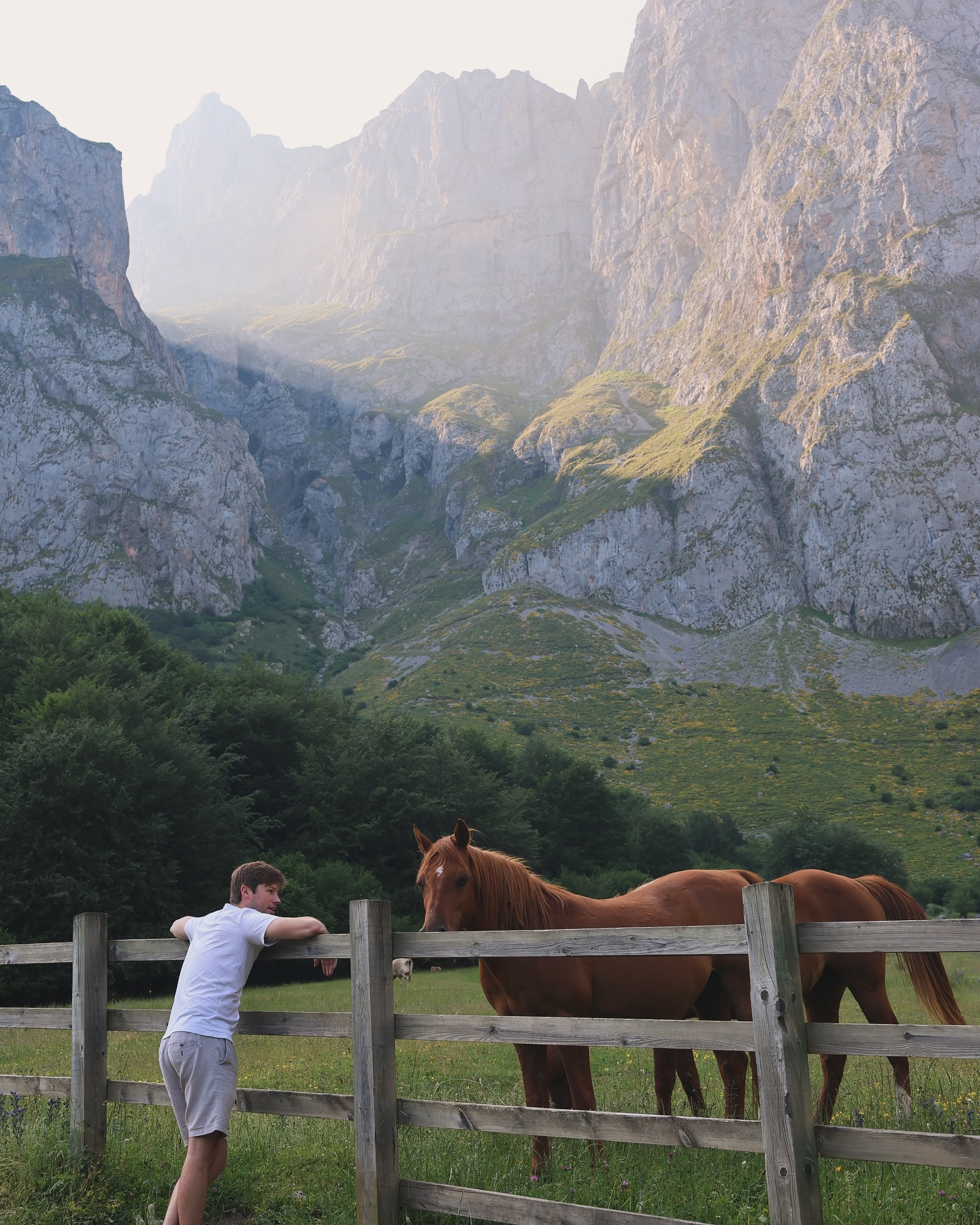 We spent a couple days exploring the quaint mountain villages in Picos de Europa, nestled around Asturias and Cantabria:
- Potes: loaded with medieval vibes, stone bridges and cobbled streets
- Mogrovejo: beautiful views, they’re very proud here for being the filming location for a Heidi movie
- Cangas de Onis: once the first capital of the Kingdom of Asturias, it has a huge Romanesque bridge with a large hanging cross, a symbol of Asturian pride
#asturias #cantabria #potes #mogrovejo #cangasdeonis #picosdeeuropa #fuentede #spanishmountains #travelphotography #exploremore
