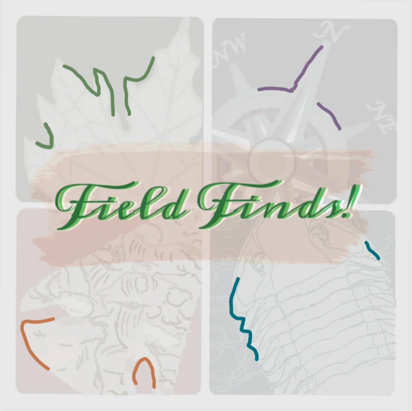 Happy Wednesday! Welcome to this week's 🌿 Field Find! 🌿
As summer continues and temperatures rise, I wanted to showcase the beautiful American Goldfinch (Spinus tristis), highlighting both the male and female of the species! 💛🖤🤍
These birds are known for being one of the latest North American songbirds to enter their nesting and breeding season. This means you have a great chance to spot the males' vibrant yellow plumage more often.
Like many species in the animal kingdom, male American Goldfinches display brighter and more profound colors and patterns. This helps them attract females and can even draw the attention of predators away from nesting females.
You can commonly find American Goldfinches in prairies, cultivated areas, and even your own backyard!
Check back next week for another awesome species!