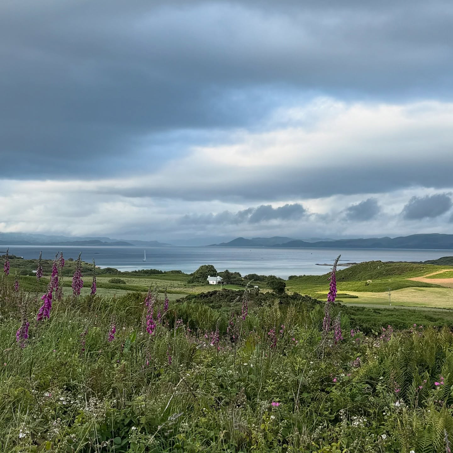Summer is joyous and glorious on the #isleofgigha 🌿 Our lands and seas are awash with life - everything radiates abundance. And at Grian-stad an t-Samhraidh / the Summer Solstice (when the sun reaches its full height and strength) we join with many from all over the Northern Hemisphere as we celebrate the peak of the sun’s power 🌞
.
.
.
.
.
.
#summersolstice #landscapephotographer #scotlandexplore #visitgigha #midsummer #natureart #visualstoryteller #kintyreway #sunrays #instascotland #naturelover #wildaboutargyll