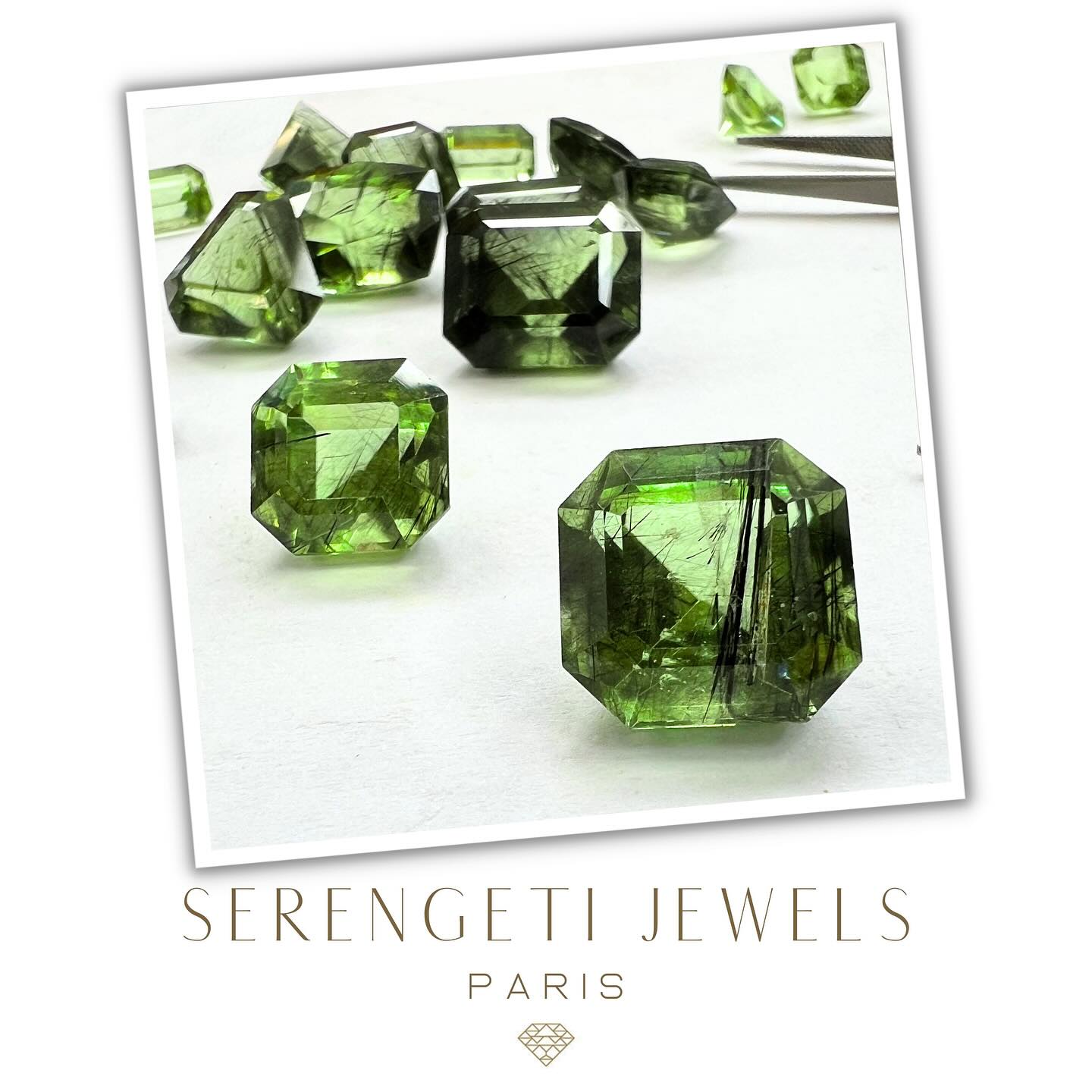 Tout le monde n’apprécie pas les inclusions, mais parfois ce sont elles qui donnent toute sa personnalité à une pierre 🌿✨
Ces péridots du Pakistan renferment des inclusions de Ludwigite, ces fines aiguilles noires sont de véritables signatures naturelles.
Elles révèlent l’origine exacte de la pierre et racontent son histoire géologique, rendant chaque gemme absolument unique 💚
#peridot #ludwigite #inclusions #gemmologie #pierresnaturelles #serengeti
