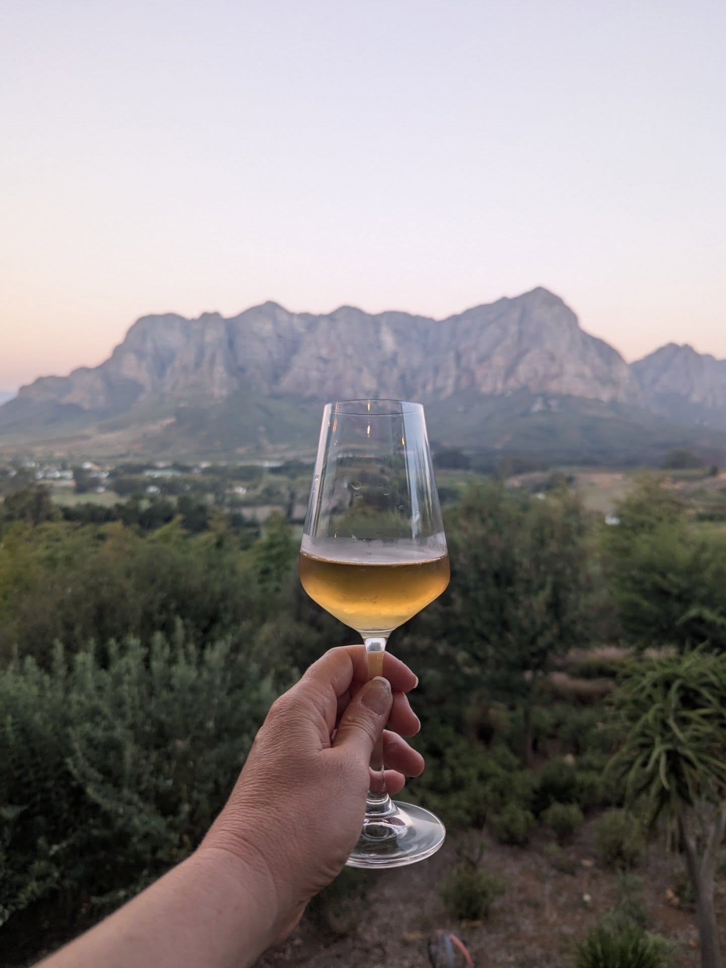 Tariff update! Jk with all the smart people trying to figure out what's going to happen, no updates. Such is life since January of 2025.
I thought, especially since it's Monday, I'd share some lovely photos of wine glasses with South African views. Mentally I'm there. Have a great week everyone!