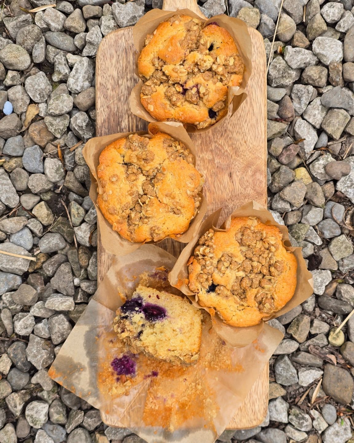 Blueberry Crumble CaKes 🫐🍇🫐 perfect with coffee ☕️
#layerd_cakes #bakefromscratch #allbutter #handmade #realcakes #sundaymornings
#coffeeandcake #coffeeshopsupply
#blueberries #freshbakes #sundaytreats