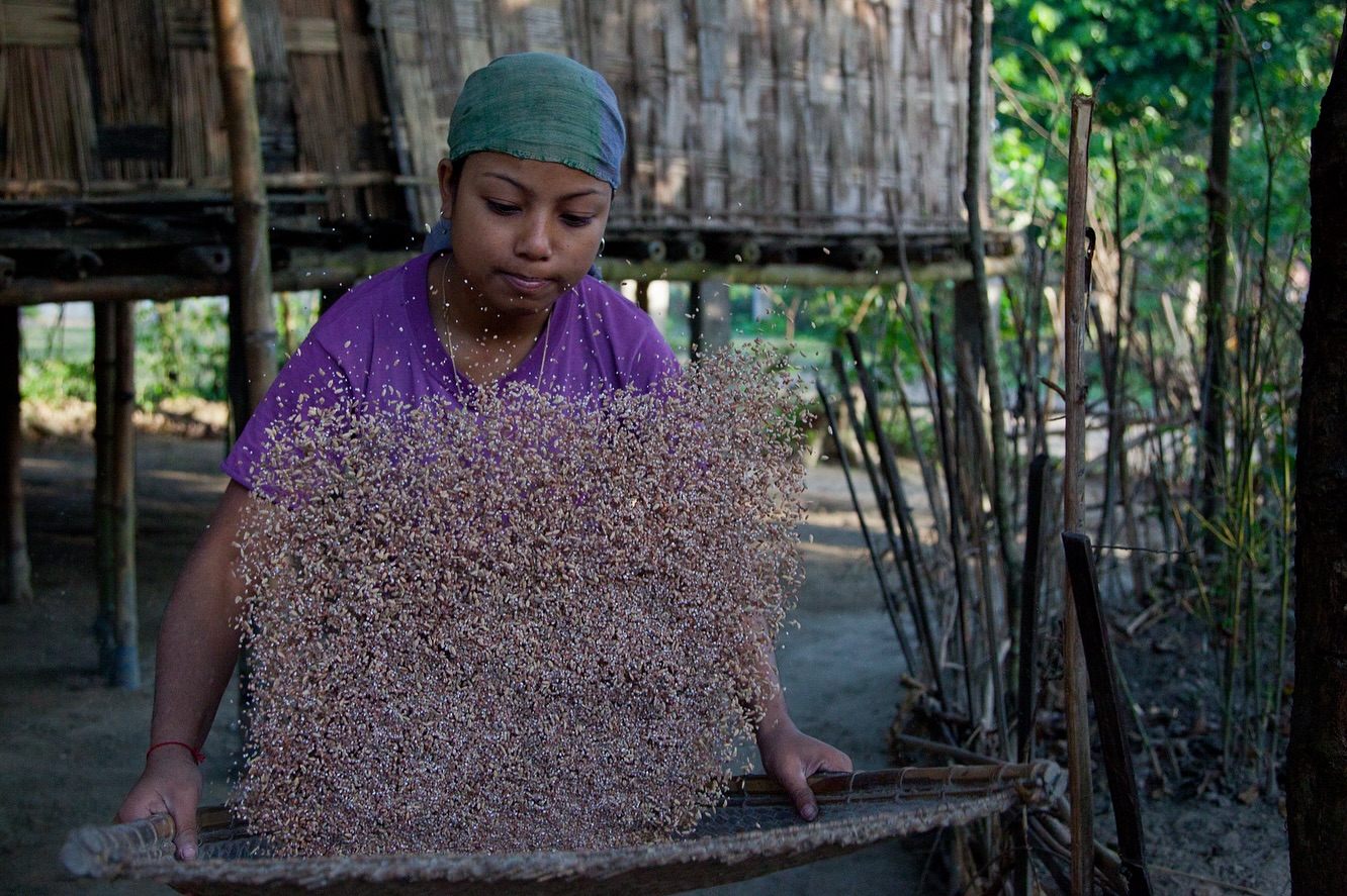 Life here continues as it always does - steady and familiar.
At times, isolated incidents in far-off areas are amplified in ways that can give an outsized impression of risk across the whole country. Those who look beyond such advisories and sensational headlines often find a reality that feels far more measured and grounded.
#brahmaputrarivercruise
#gangesrivercruise
#assambengalnavigation
#rareindia
.
.
.
#rivercruiseexperience #rivercruiselife #rivercruiser #rivercruiseadventures #rivercruiseexpert #expeditioncruising #expeditioncruiseship #expeditioncruise