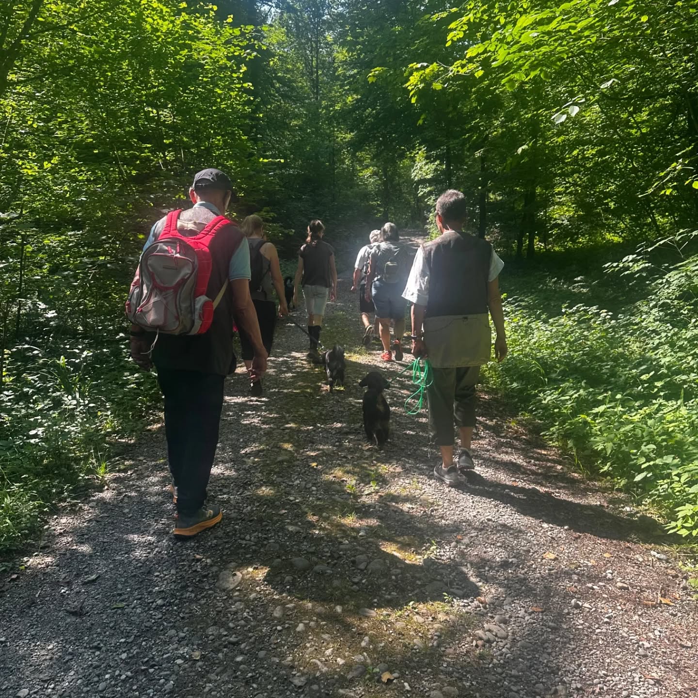 Es war ein gelungener Spendenwalk bei herrlich schönem Wetter ☀️ mit Badespass für die Hunde 🐕
Herzlichen dank allen Teilnehmer:innen, dank euch durfte unser Verein heute Fr. 540.- entgegennehmen.
#spendenlauf #spendenaktion #spendenwalk #hundespaziergang #gemeinnützig #vereinfürhilfshunde #pawsandyou #assistenzhundeverein #vereinfürhilfshunde #assistenzhundeschweiz #assistenzhund