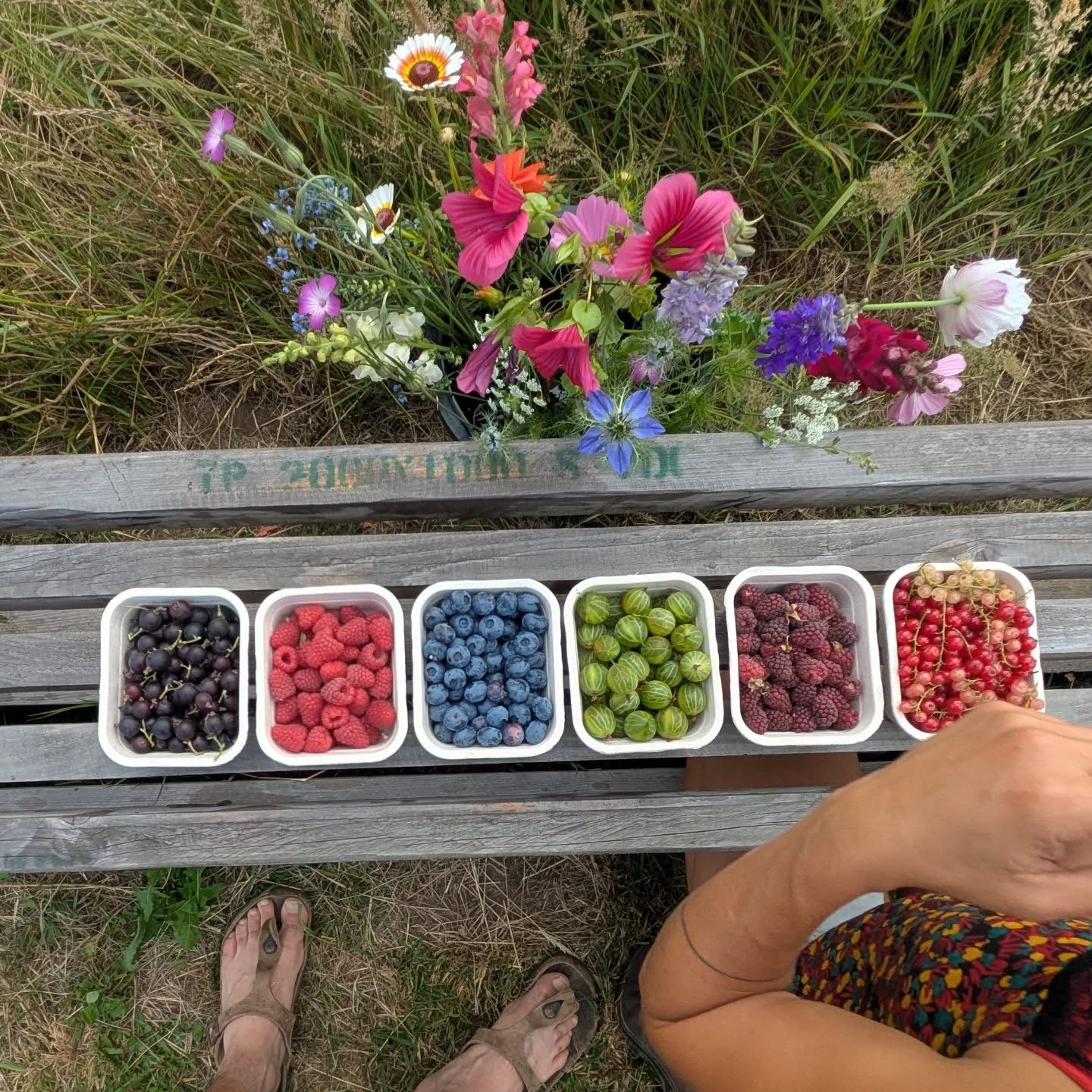 Open vandaag 🤸🏻
Zoveel schone bessen blinkend in de ochtend zon ☀️
Wekom bij ons, tis hier goed.
Festival mood? 👀
We staan vandaag en morgen met onze fruitijsjes op @copacobanafestival.
En zondag op @visueelfestivalvisuel in Brussel. ☀️