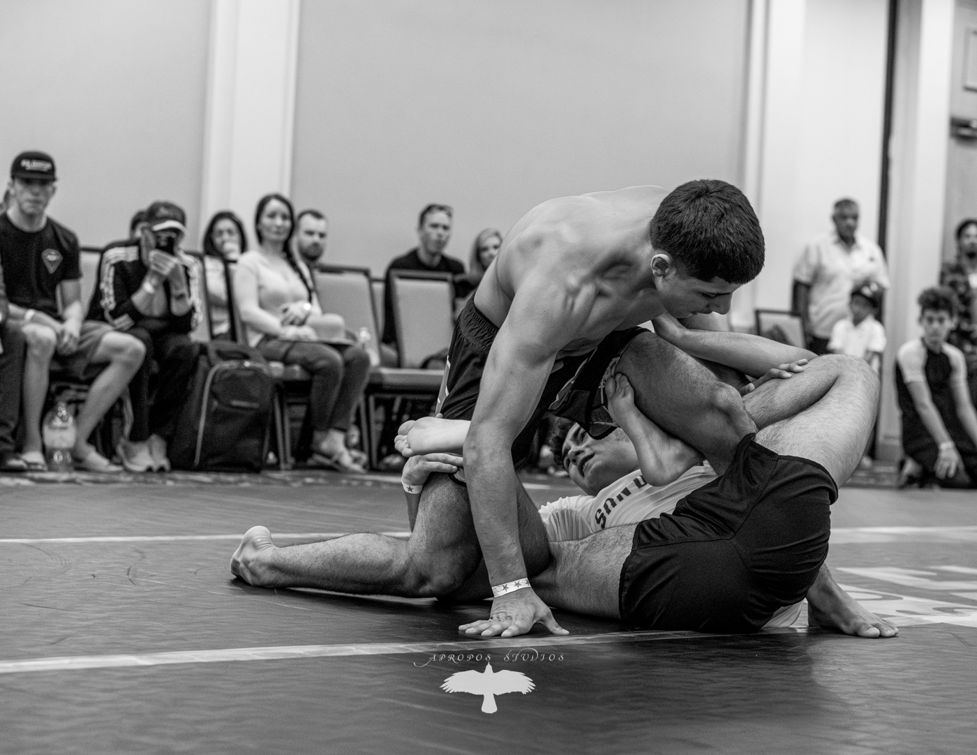 Covered @artesuaveelite Slo show on Saturday. Lets talk about the talented athletes that showed up!
The gallery is ready!
#bjj #brazilianjiujitsu #juijitsu #nogibjj #photooftheday