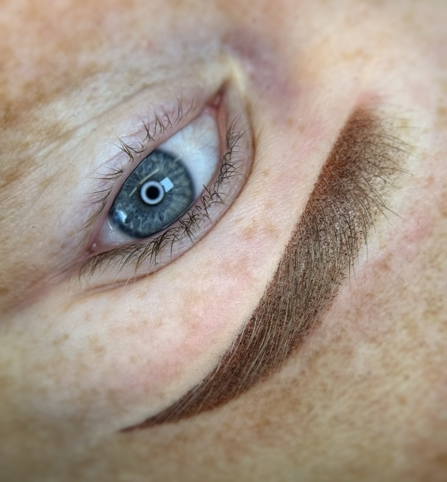 Soft Powder brows
Using all time favorite @etalonmix.nl pigment & needles
All from @beautifeau 🤍