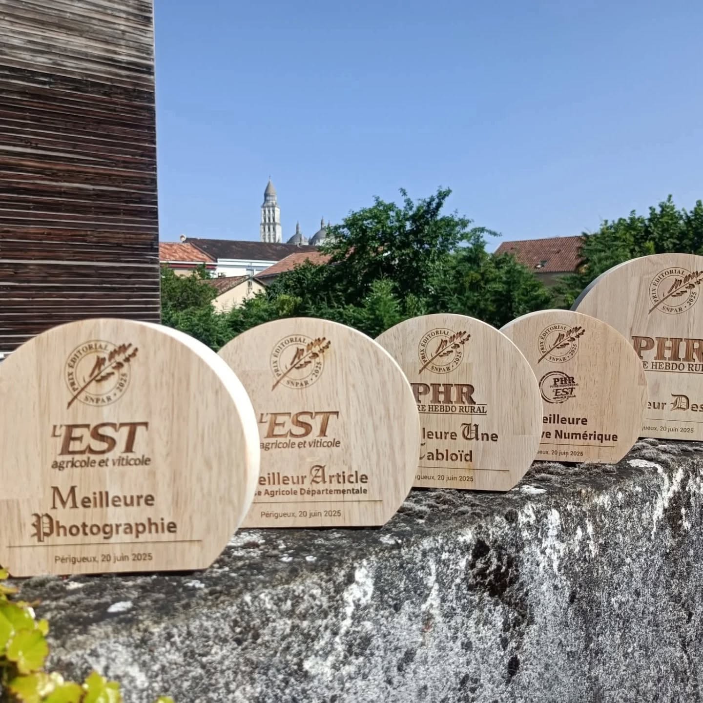 Nous tenons à féliciter chaleureusement #eavphr pour les différentes récompenses bien méritées ! Nous sommes fier de collaborer avec ces talentueuses équipes
.
#solidarité #chambreagriculture #agriculture #chambreagriculturealsace #AFDI #afdilorraine #afdigrandest #ja68 #ja67