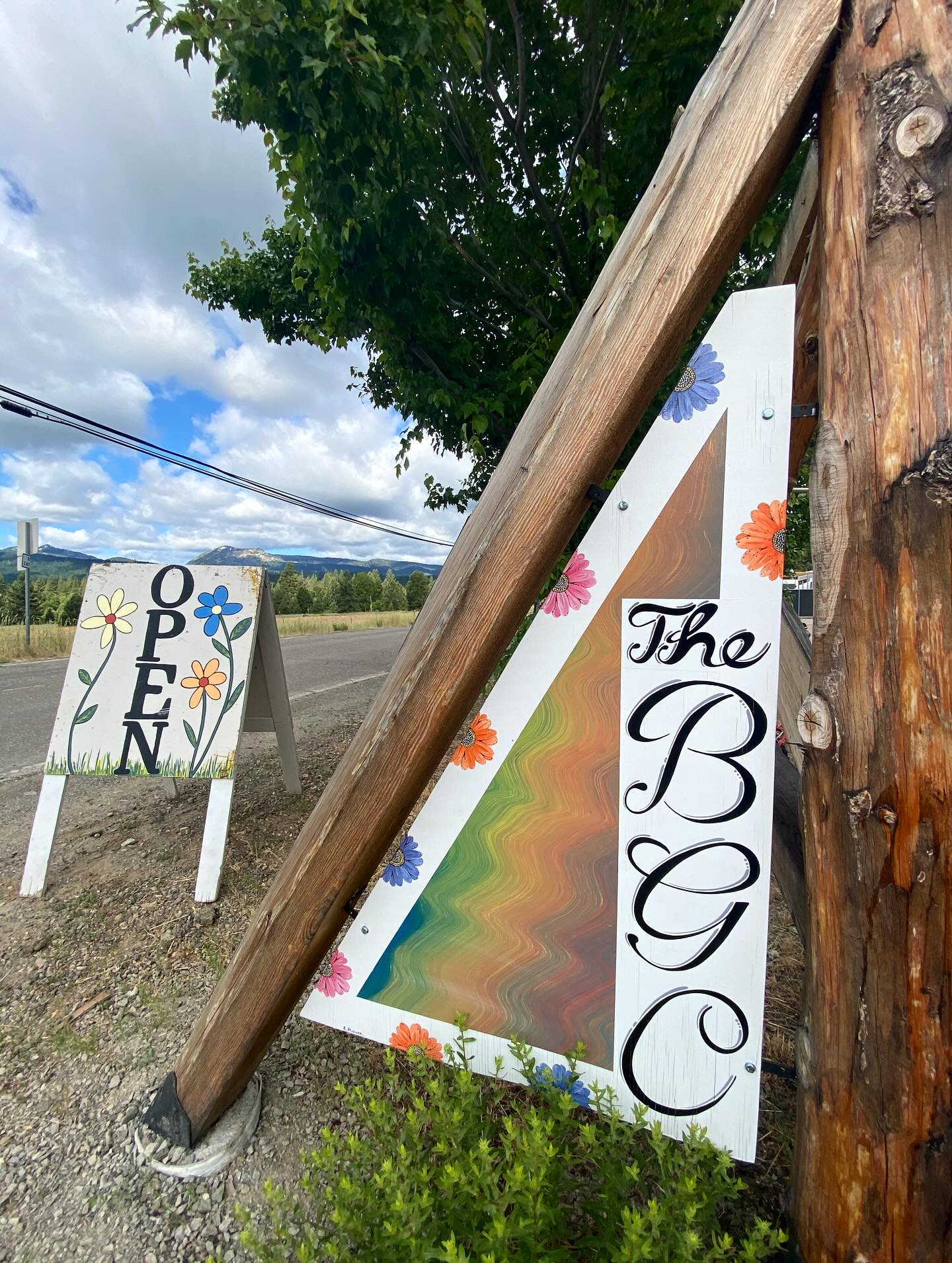 New flowers! Your favorite annuals and some flowering perennials are new in stock! We got a couple of the much anticipated, sequoias(!!!), some grasses, lots of creeping phlox, coreopsis, barberry, penstemon, and catmint to name a few 🌸🌼🪻
We also have frost cloths to protect your tender plants during these chilly nights 🥶
Come say hi!
Open: Thursday-Monday // 9am-4pm