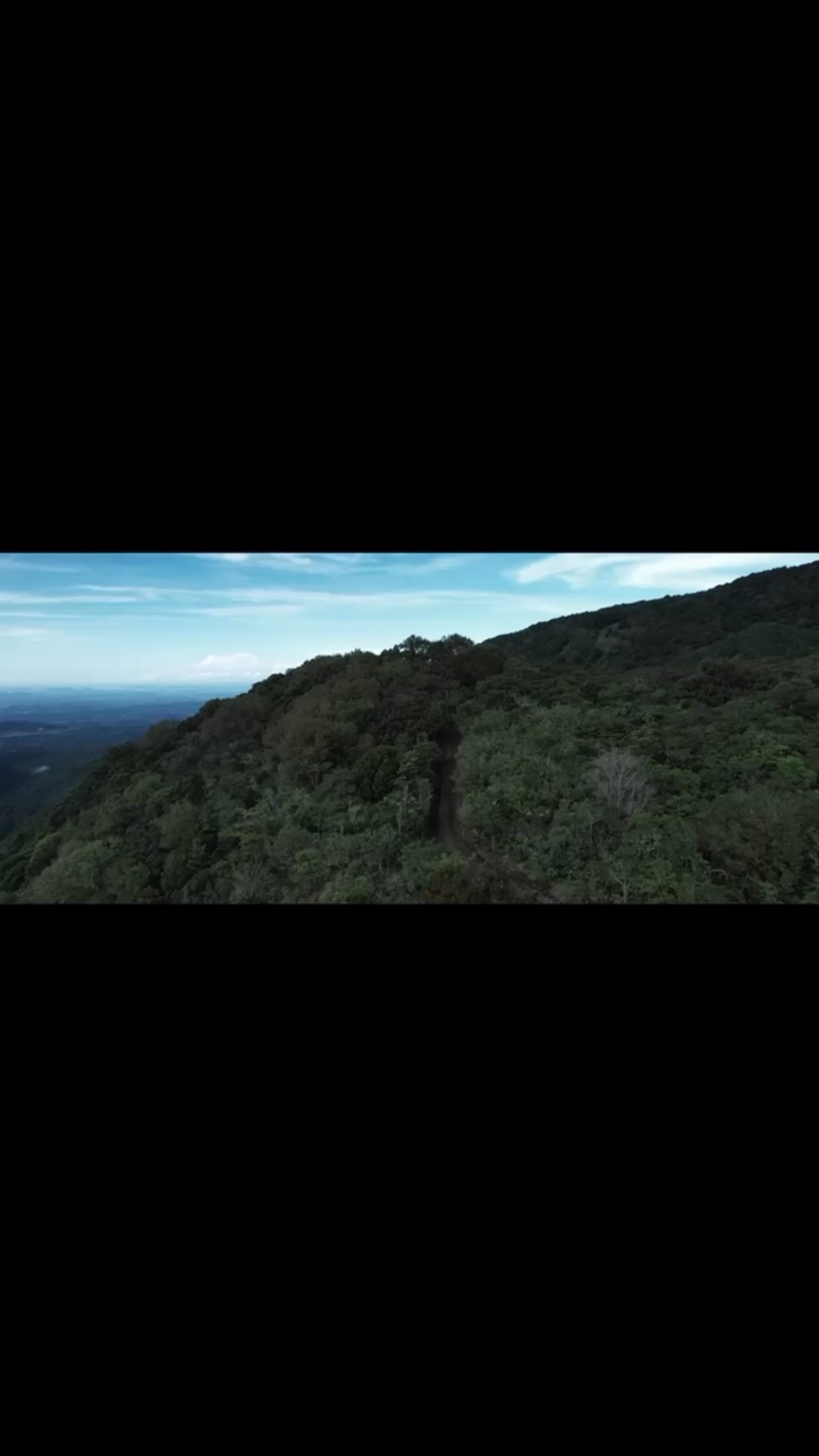 Chasing Coffee Treasures in Panama 🇵🇦
We traveled to origin to find something truly special for World of Coffee Geneva — and we found it.
This is just the beginning.
We’re launching a 4-part podcast series, sharing the stories behind 4 visionary producers:
-Los Lajones @graciano.cruz
-Hacienda La Esmeralda @haciendalaesmeralda
-Flying Pumas @flyingpumascoffee
-Ninety Plus @ninetypluscoffee
Rare coffees. Powerful stories. Real people.
This is what sourcing at origin is all about.
Stay tuned. 🎧
Video: @danielserranoph
#PanamaCoffee #SpecialtyCoffee #WOCGeneva #OriginTrip #CoffeePodcast #FromFarmToCup