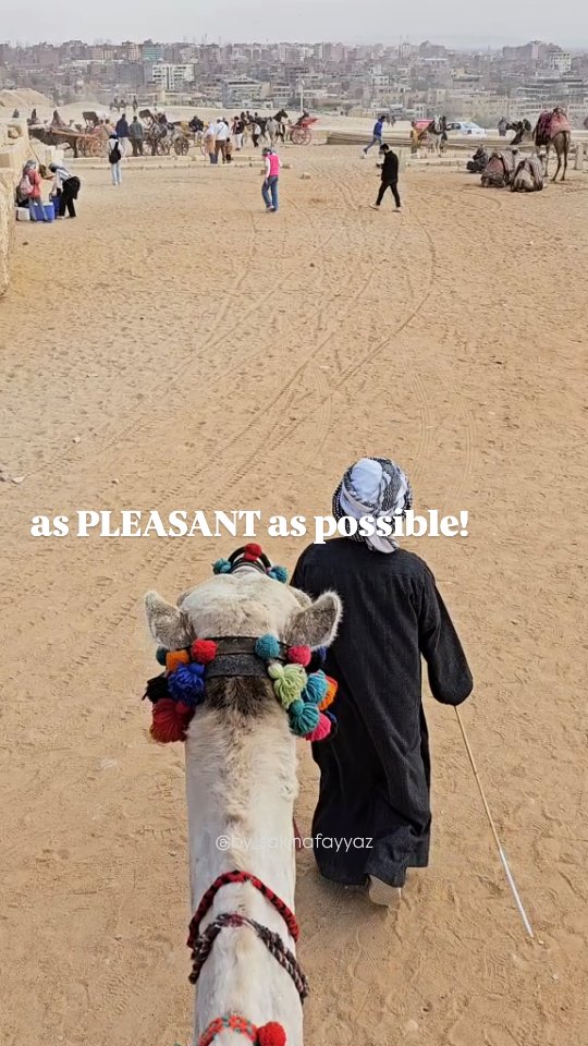 At 30, I have learned to slow down and find joy in the little moments that would otherwise go unnoticed.
It's something I try to carry into my art too. I hope my paintings help the viewer to pause, breathe, and take in the beauty of the moment.
What about you? What brought you a little bit of joy today?