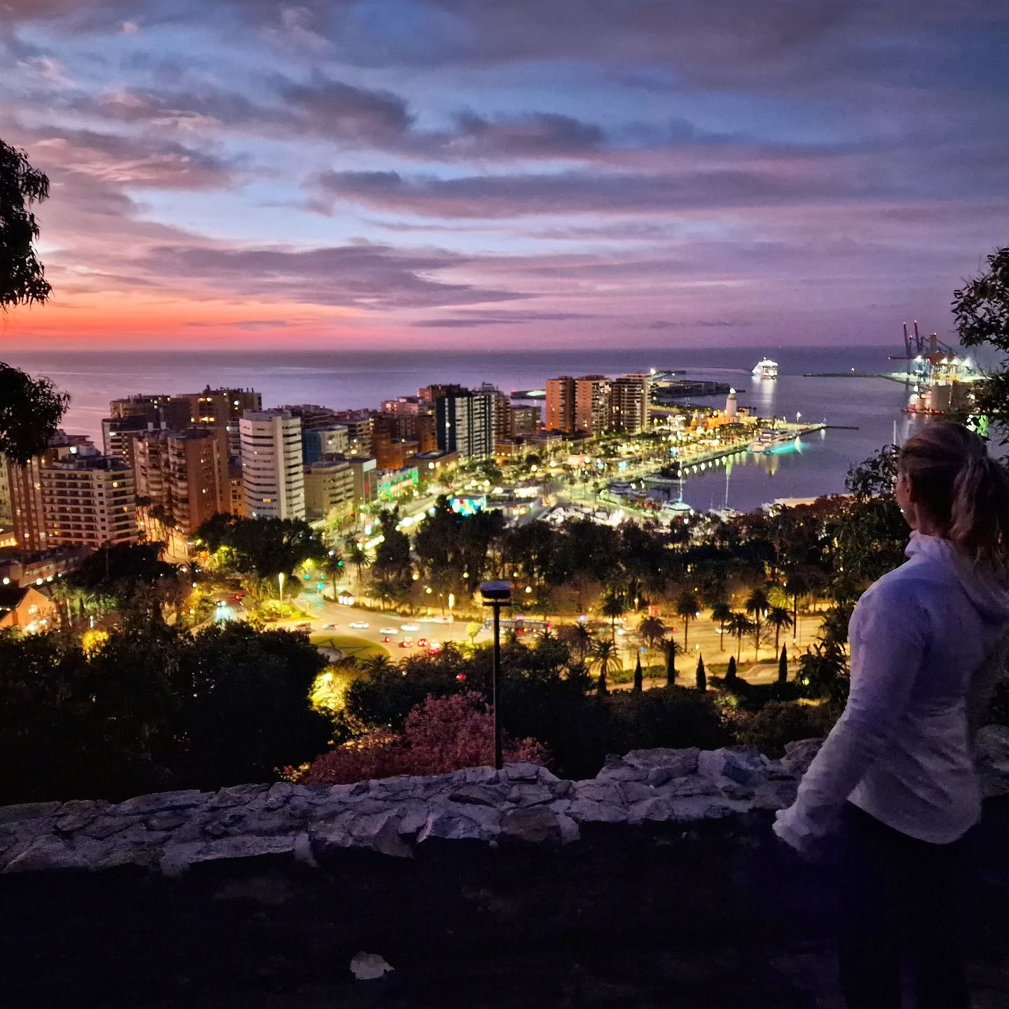 📍 Hermosa vista desde la pasarela que conduce al Castillo de Gibralfaro 🤩
.
➡️ Visit us @ lovingmalaga.com (link in bio)
.
.
.
#lovingmalaga #malaga #malagalife #malagaturismo #málaga #malagatoday #andalucia #ckmalagalife #ok_malaga #españa #spain #visitmalaga #costadelsol #ok_spain #photosofmalaga #malagaconacento #lateandalucia #summervibes #travel #travelphotography