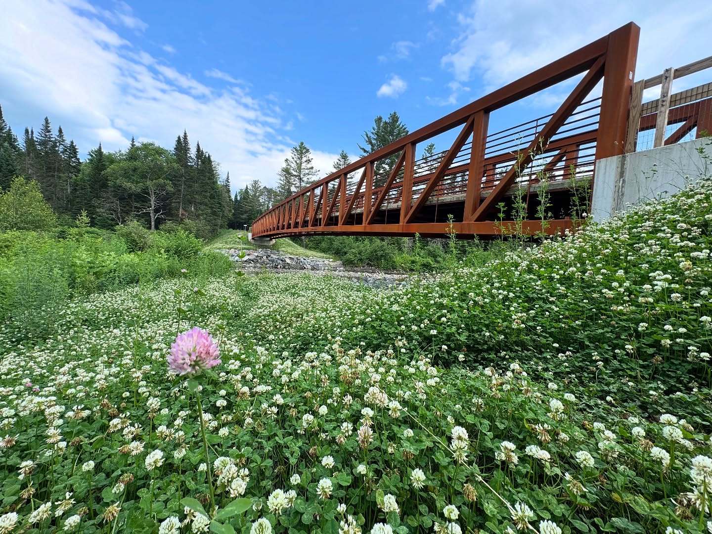 We’re enjoying a proper start to summer in Vermont! Spectacular sunshine, a little heat to get your adventure on and always amazing views. Experience summer in Vermont with a ride on the Lamoille Valley Rail Trail #bikelamoille #summerinvermont
#vermontsummer
#railstotrails
#bikevermont
#vermontebikerental
#biketours
#newenglandsummer
#lamoillevalleyrailtrail
#stowe #smuggs