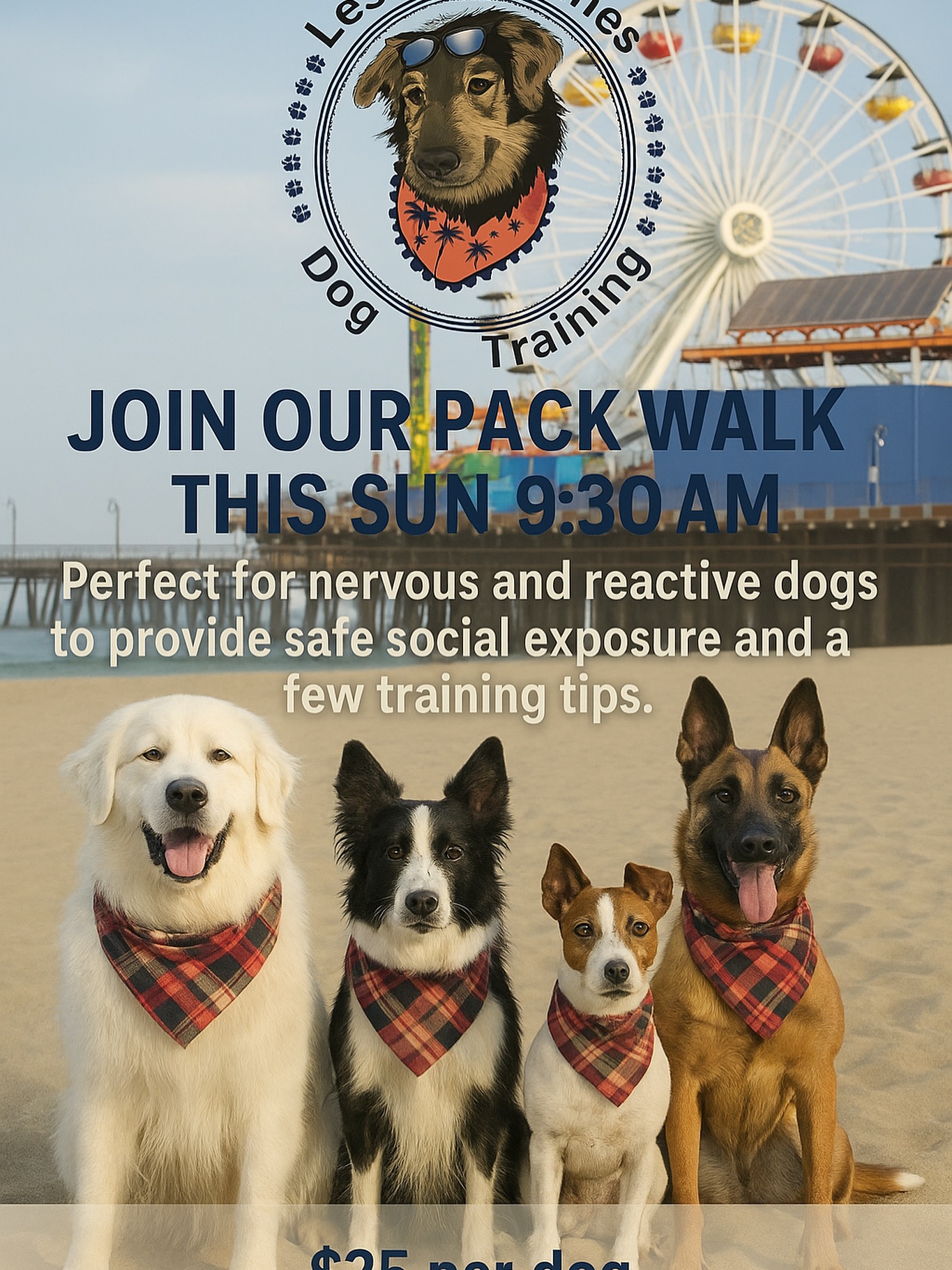 #santamonica Sign up in the link in bio!