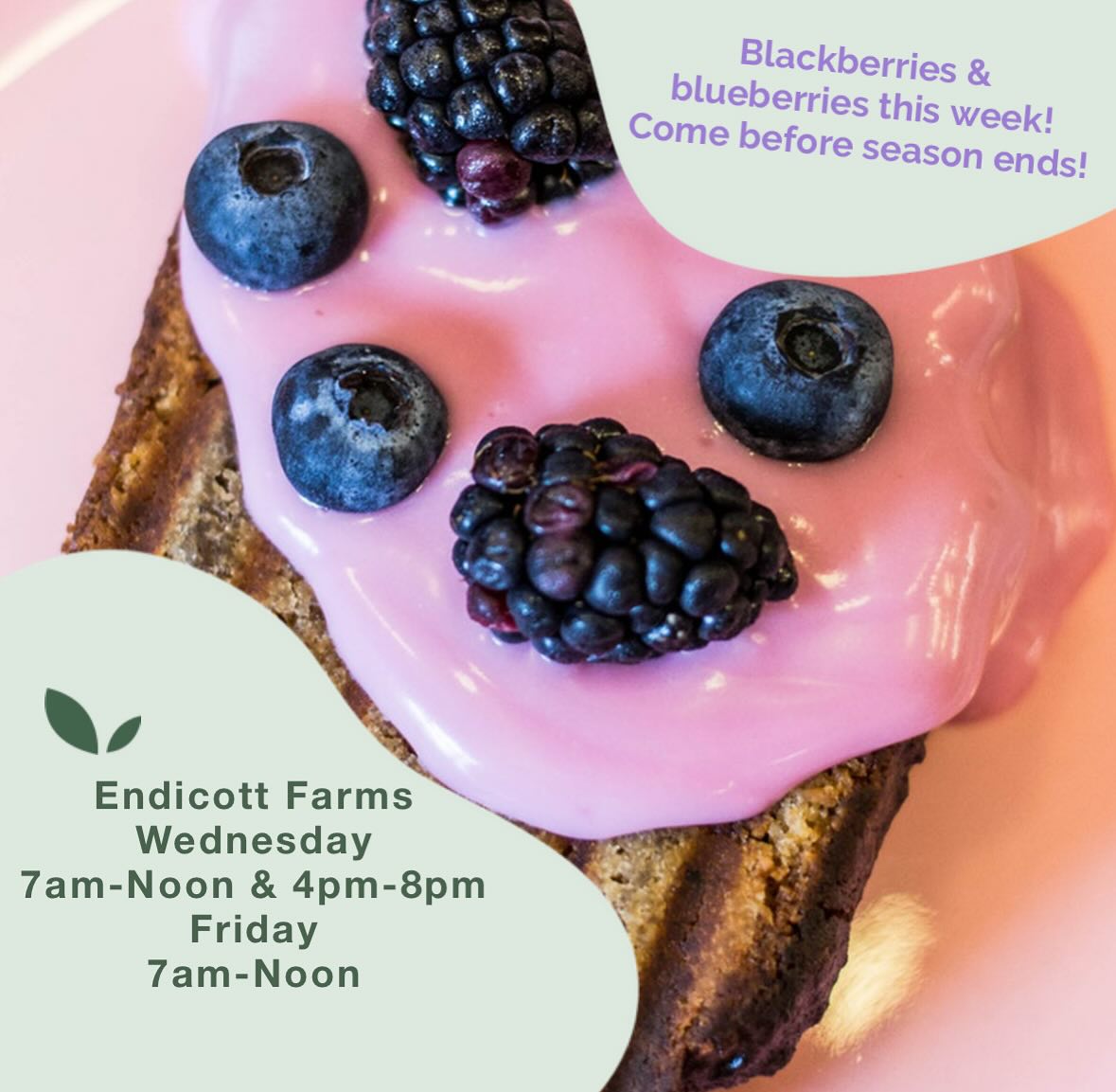 Come see us tomorrow for blueberries and blackberries!
Early bird 🐦 gets the best berries (and beats the heat ☀️)!