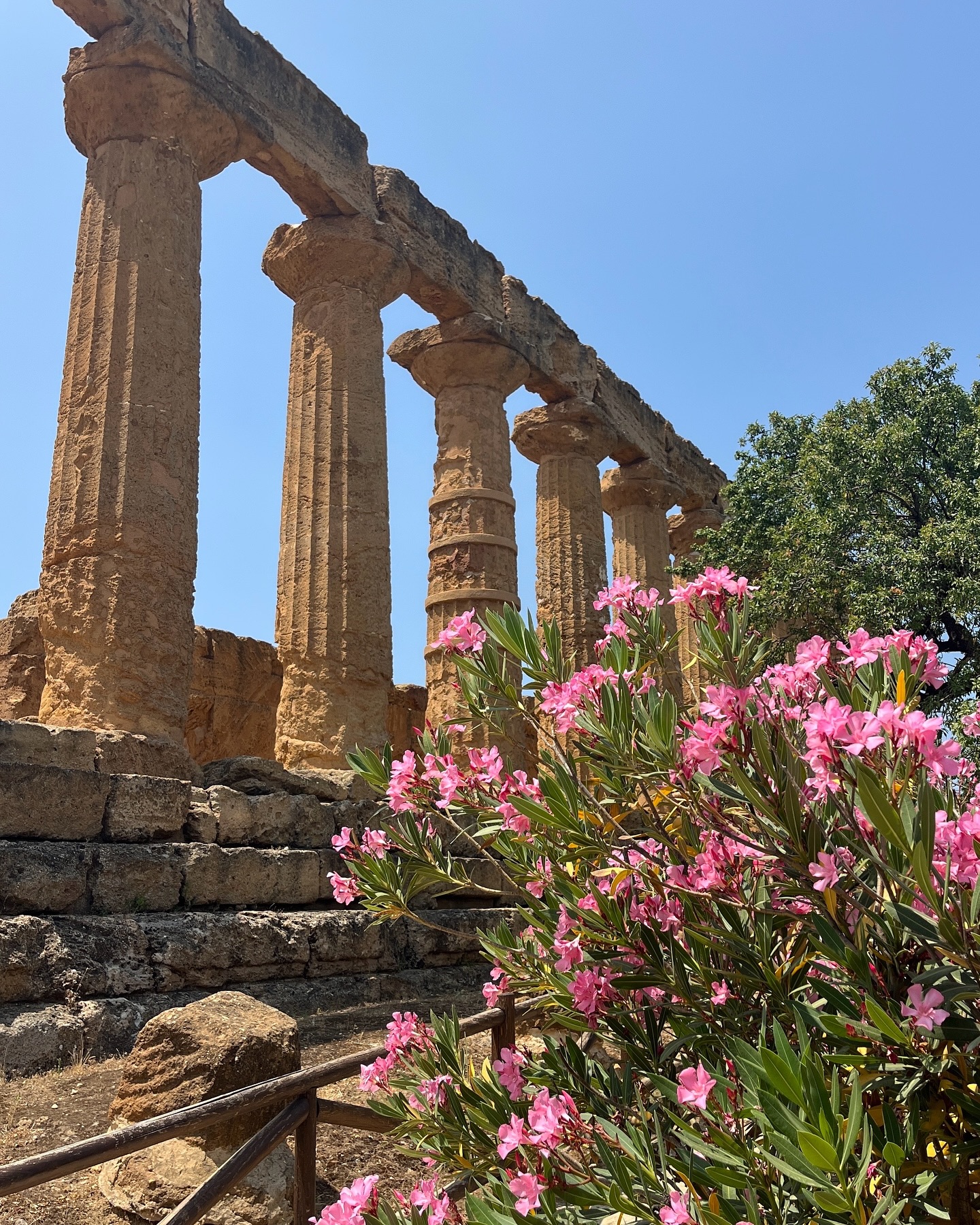 Das Tal der Tempel ist eigentlich eine Anhöhe, ein Hochplateau südlich von Agrigent. Von der Stadt aus gesehen wirkt es jedoch wie ein Tal. Hier stehen bedeutende griechische Tempel, darunter der Heratempel, der Concordiatempel, der Tempel des Zeus und der besonders fotogene Hephaistos Tempel.
Diese beeindruckenden Bauwerke aus dem 5. Jahrhundert v. Chr. erzählen von der Macht und Kultur der antiken Stadt Akragas, die dem heutigen Agrigent ihren Namen verlieh.
Das Tal ist ein Must-see für alle, die Geschichte lieben und in die Kultur Siziliens eintauchen möchten.
#taldertempel #agrigent #sizilienentdecken #reisenachsizilien #antiketempel #sizilienerleben #geschichte #architektur #magnagrecia #reiseundfotografie