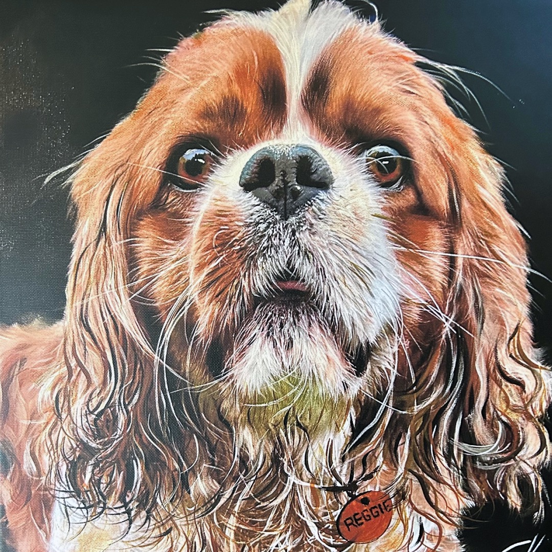 Meet Reggie! ๐พ
๐งก He is one of my favourite dogs in Axminster!
Reggie is a Cavalier King Charles Spaniel, who typically have large expressive eyes, distinct chestnut and white colouring with a white blaze on his forehead. A pleasure to paint!
#dogsarefamily #clivehemsley #dogsofinsta #thedogportraitartist #dogsofinstagram #dogmemories #painter #paintmydog #dogsoflymeregis #dogs #dogportraits #artist #ilovedogs #puppy #puppiesofinstagram #pet #petsofinstagram #cutedogs #reggie #cavalierkingcharlesspaniel #spaniel #cavalier #dogsofaxminster