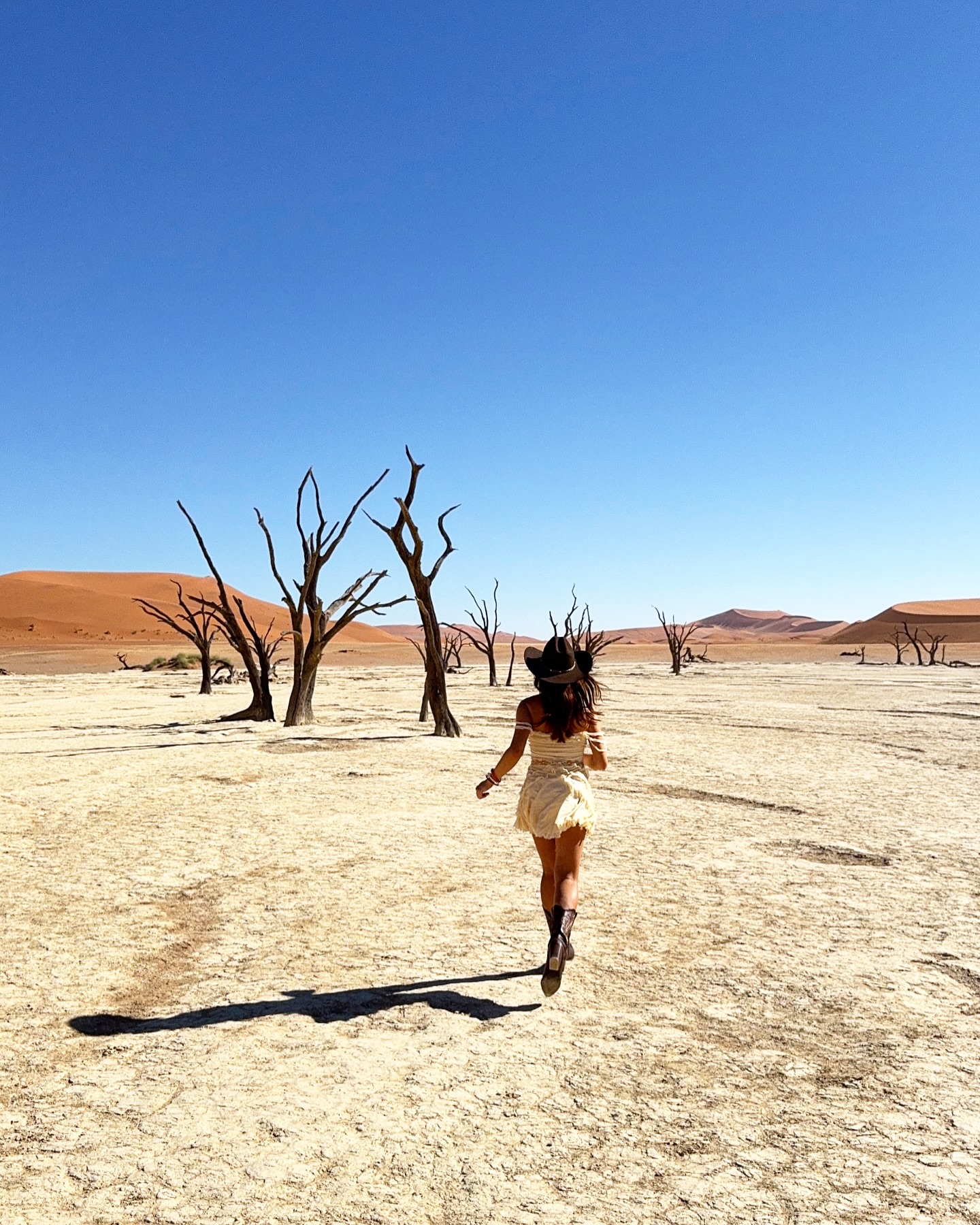 Lost in the stillness where ancient trees whisper secrets to the wind, and the desert sky holds space for wandering souls 💫
#sossusvlei #deadvlei #namibia #travelnamibia #travel #africa #desert #namibdesert