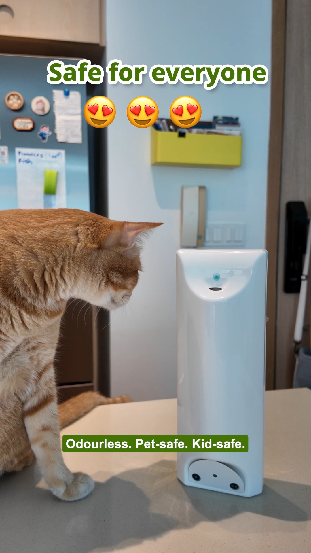 What’s really in that insect spray you’re using? 🐜🪰 Try Eco-py — the non-toxic, set-and-forget solution that protects your home 24/7 from mosquitoes, ants, flies, and more.
✅ Safe for kids & pets
✅ Odourless & effective
✅ Made with pyrethrin from chrysanthemum flowers 🌼
Perfect for kitchens, bedrooms, and everywhere in between.
🛒 Add to cart now: ourlifestyleshop.com