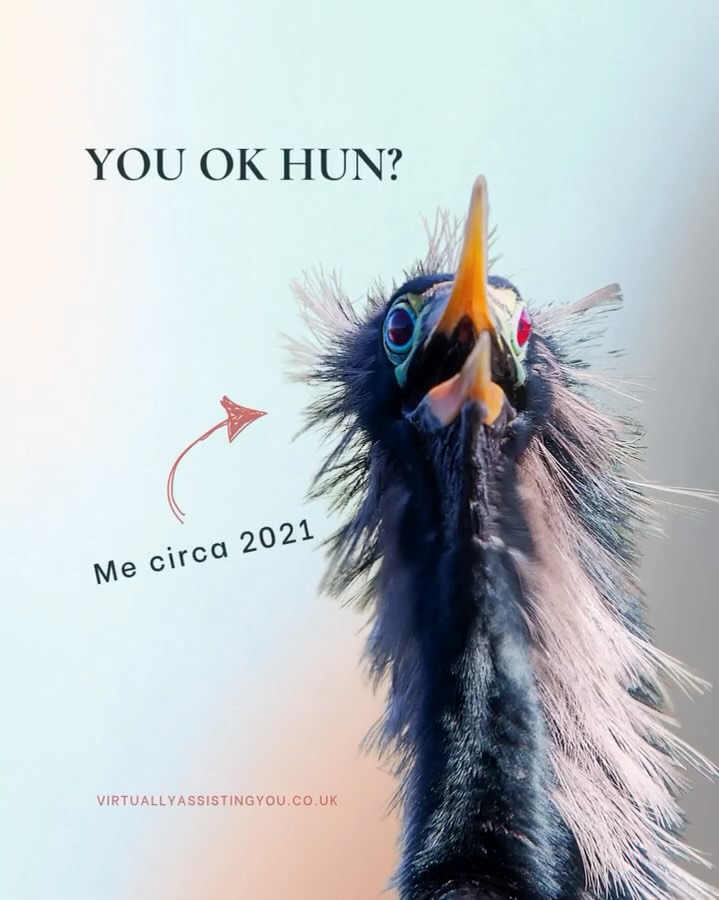 A few years ago, I was completely overwhelmed.
Juggling client work, school runs, replying to emails from my phone, and somehow trying to keep up with content too (🙃)
Everything felt urgent, nothing felt organised...and I was constantly playing catch up!
That’s when I realised: it wasn’t the work that was the problem, it was the lack of systems and support.
Fast forward to now, and I’ve supported dozens of established business owners to step out of that chaos and finally feel in control again 🙏🏼
Not by handing them another to-do list, but by getting stuck in, sorting the mess and building a plan that actually works.
That’s exactly what I do inside my 1:1 sessions.
We'll spend 60 minutes totally focused on YOU 🤩
Your pain points.
Your messy inbox.
Your overdue to-do's.
Your lack of visibility.
Whatever’s keeping you stuck, we will sort it!
You will leave feeling clearer, lighter and with a plan that doesn’t feel overwhelming.
Just imagine what your business would feel like if you had even one of those nagging tasks off your plate by this time tomorrow 💭
This is your sign to stop doing it all yourself ✌🏼
Pop a ❤️ below and I’ll send you the details (your future self will 100% thank you!)
#VASupport #SmallBusinessHelp #1to1Support #WorkSmarterNotHarder #AdminOverwhelm #GetOrganised #TimeFreedom #VirtualAssistantUK #SMM #VA #VirtualAssistant #1:1Support