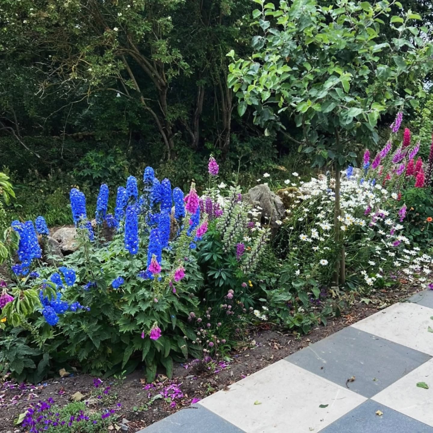 🌸 In Bloom at Cronkley Cottage 💜💙
The garden is currently putting on a show! Vivid blues and purples are bursting into life. 🌿✨
🔗 Book your stay: www.cronkley.com
#CronkleyCottage #HolidayLet #GardenInBloom #SummerVibes #Northumberland #CountyDurham #CountrysideEscape #CottageGarden #DerwentReservoir