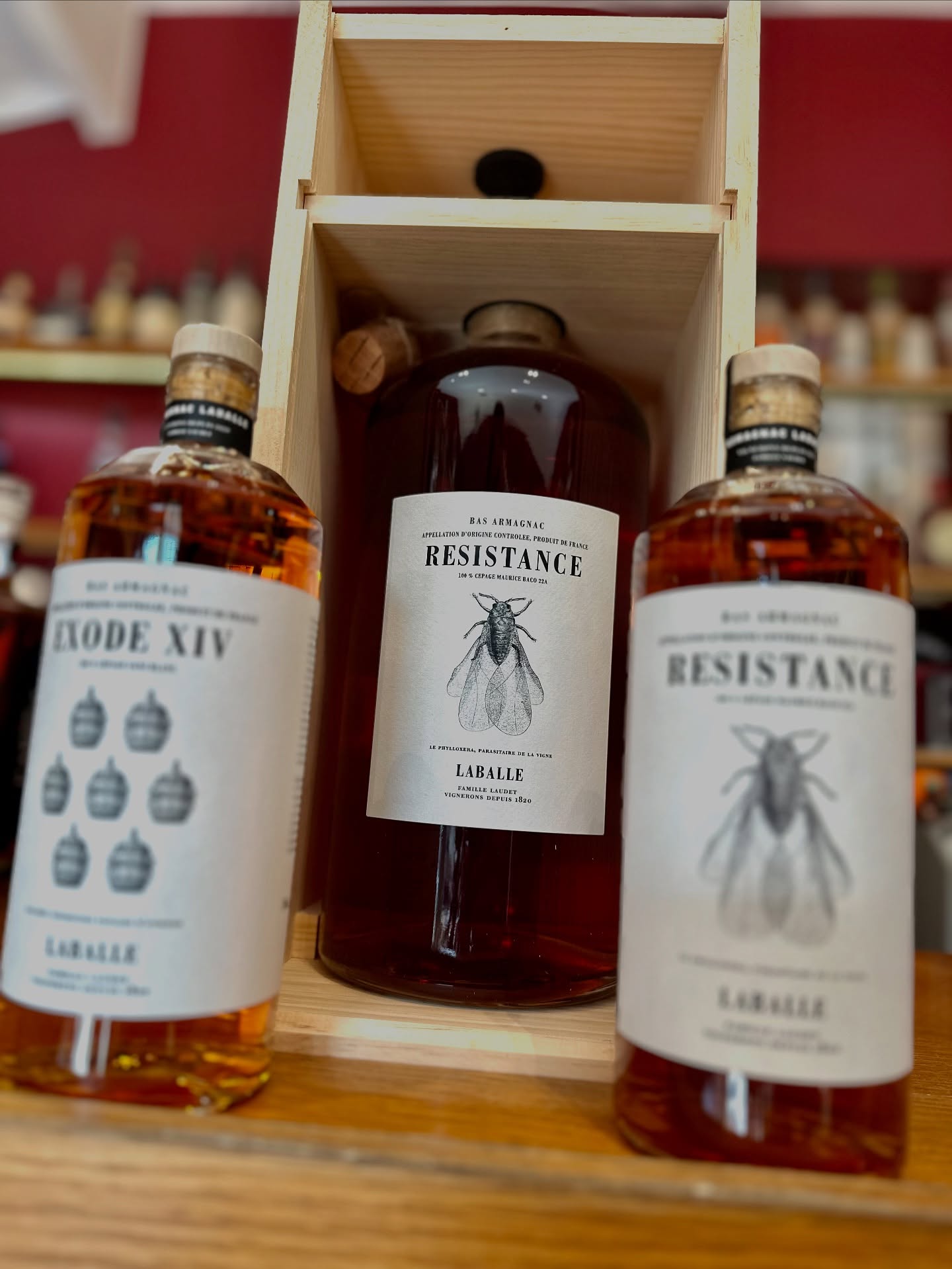 Et biiiim
Encore une nouveauté @cavavincannes
La Famille Laudet arrive en force avec le domaine Laballe et le domaine de la Pointe à Cap Breton dans les Landes.
8eme génération dans les landes et signé le renouveau de l’Armagnac avec les batch Exode XIV 100% Ugni et Résistance 100% Bako
Dispo en bouteille de 70 cl mais aussi en bouteilles de 3 litres avec son coffret bois et la pipette de service !
Mais la Famille Laudet c’est aussi du vin
Avec les cotes de Gascogne Demoiselle, Terres Basses et le chardonnay de Laballe.
Et les cuvées pieds dans le sable, un rouge et un blanc très bien nommés. Des vins frais peu alcoolisé à déguster bien frais !
Le tout à prix tout doux.
On adooore !
#marcheforville #cannes
#caviste #gascogne #armagnacisback