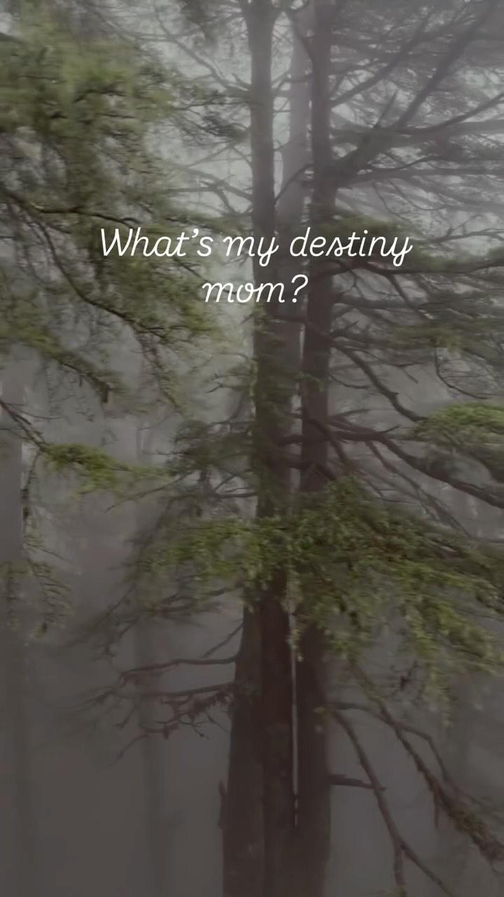 Tujhe kya lagta hai?