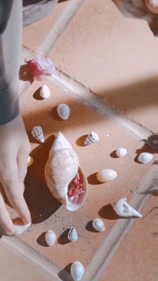 🐚 Shells aren’t just read…. sometimes, they’re placed
This is a glimpse into Shell Spreads & Symbolic Layouts, a chapter inside The Shell Oracle that teaches you how to work with shells the way some work with cards or crystals 🙌🏻 with intention, pattern, and elemental meaning.
✨ These spreads aren’t random, they’re energetic maps and they offer you:
◬ Sacred structure for intuitive readings
◬ Ritual layouts for moon work, healing, and reflection
◬ Symbols and stories that help you see what your soul is walking through
Inside the book, you’ll find four signature spreads
🧭 The Compass Spread – for elemental clarity
🌊 The Ocean’s Path – for storytelling and transformation
🌕 The Tide Flow – for emotional release and renewal
🌀 The Shell Journey – for deep soul work and spiritual transition
Each one is a living layout, a sacred space where your shells become storytellers 📖 Want to learn how to use these spreads in your own practice?
The Shell Oracle is your guide
🔹 47 shell profiles
🔹 Rituals, layouts, meditations, and energy maps
🔹 Tools for creating a personal shell devotion practice
🔗 Available now (link in bio)
DM me with questions, or just to share your shell rituals - I love seeing them 🐚 signed copies also available via DM
#ShellOracle #SeaRituals #ShellReading #EnergyMapping #TheShellOracle #SpiritualTools #ShellSpreads #Psychometry #XeniaOnEarth #ElementalMagic #OceanDivination #AltarsAndEnergy