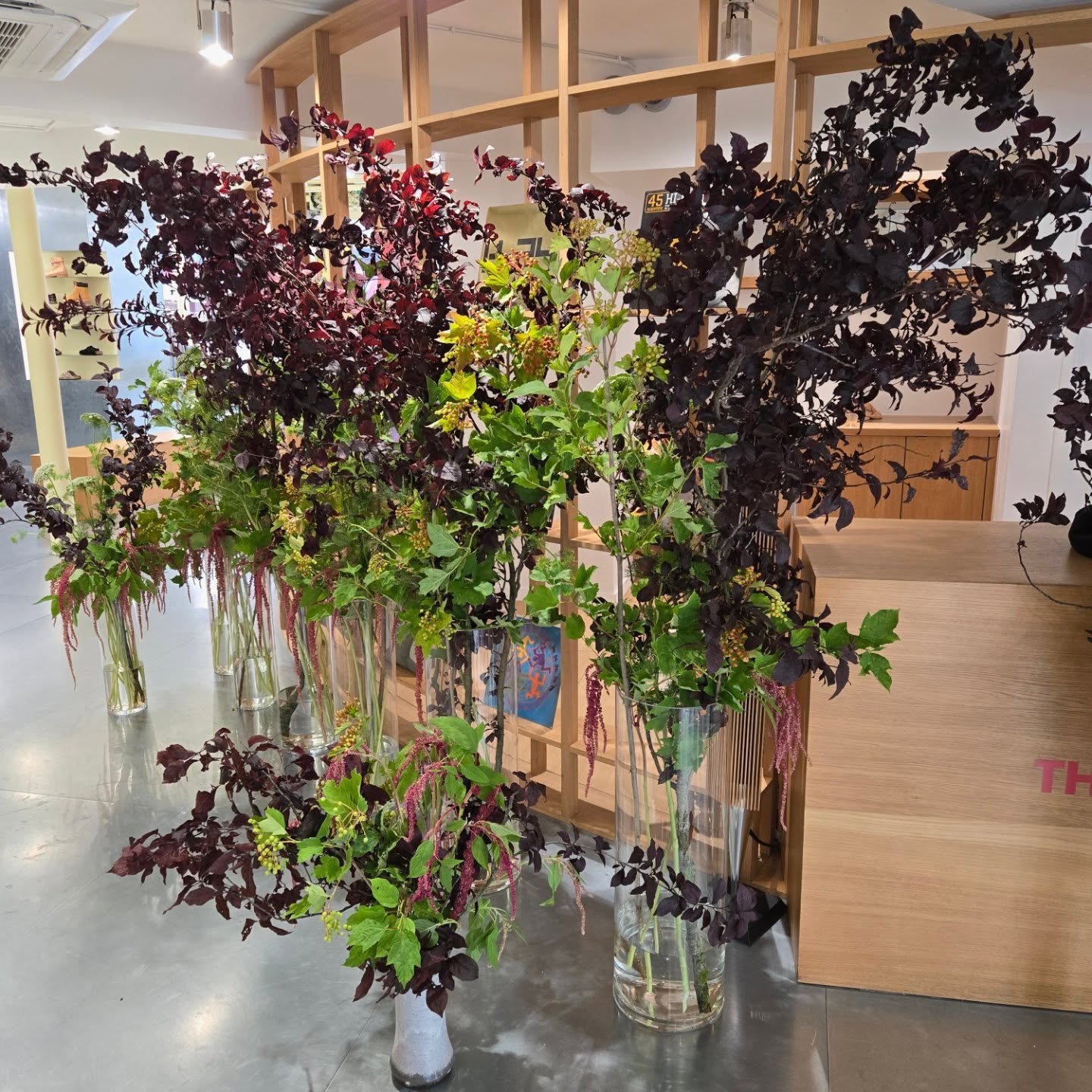 #fashionweek @thenextdoor