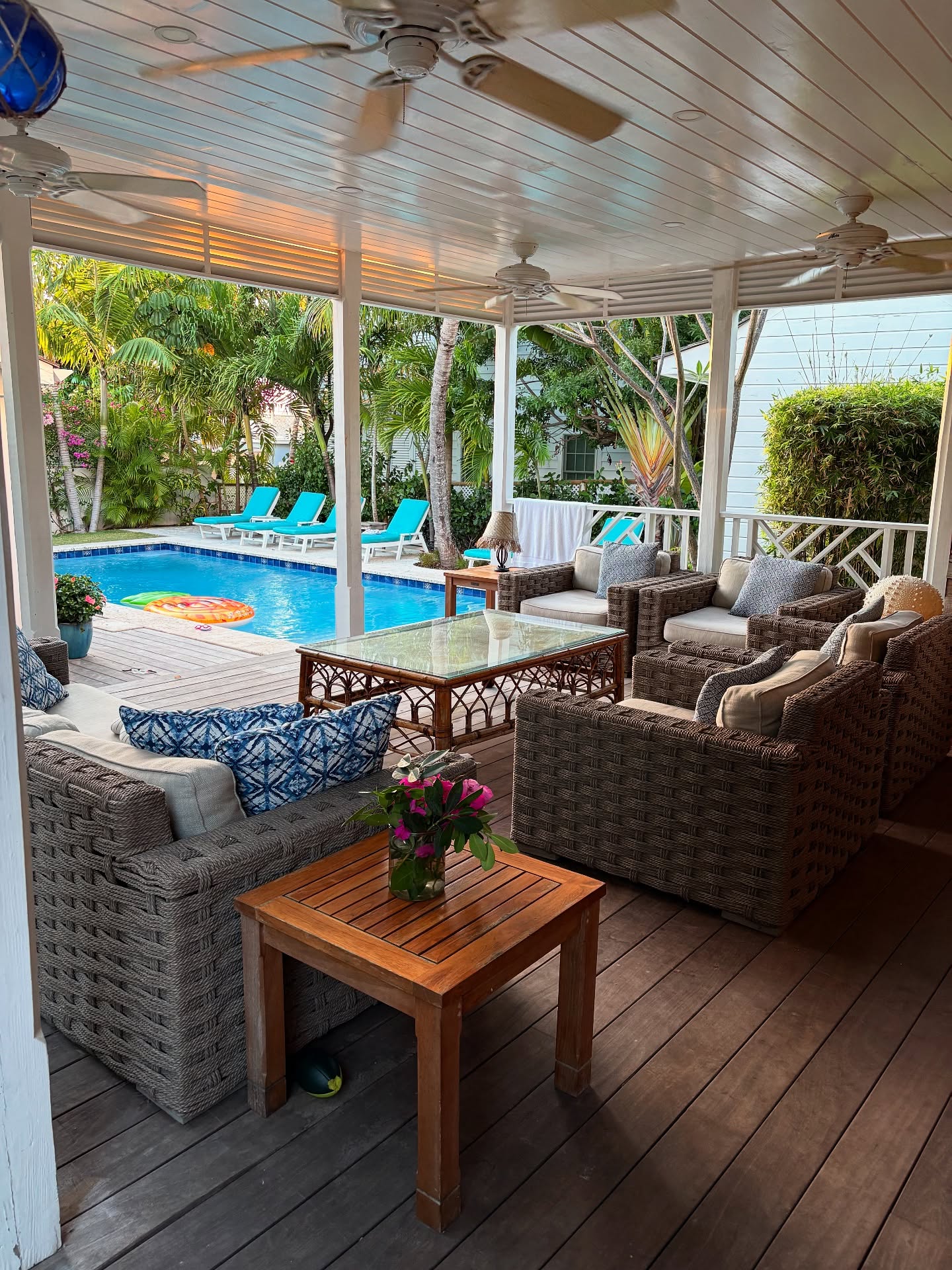 Evening Light โจ @thewhale_harbourisland ๐