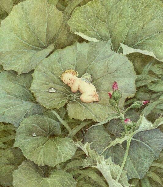 my pinterest board & how life feels lately 🐛🍄🪺🧚🏼♀️