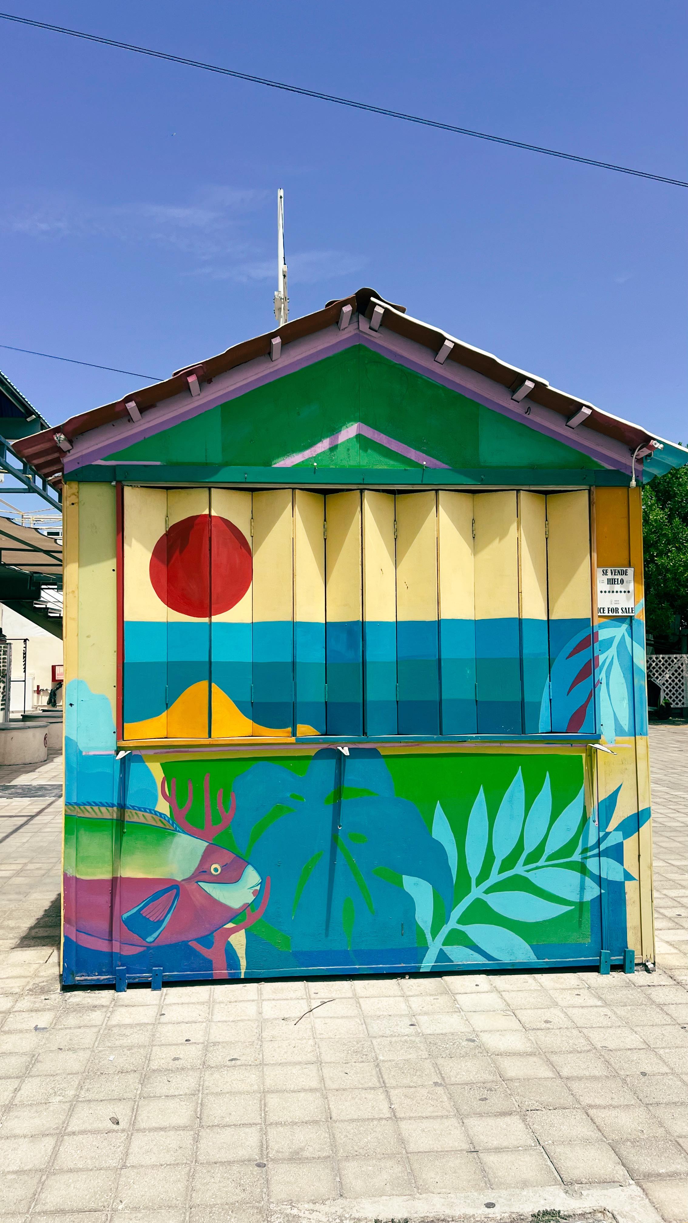 Cancún are you flirting with me? 🇲🇽
Thank you @amigo.tours 10-hour Catamaran Tour and it was EPIC! 🛥️
#travelfeed #visitmexico #islademujeres #islandadventure