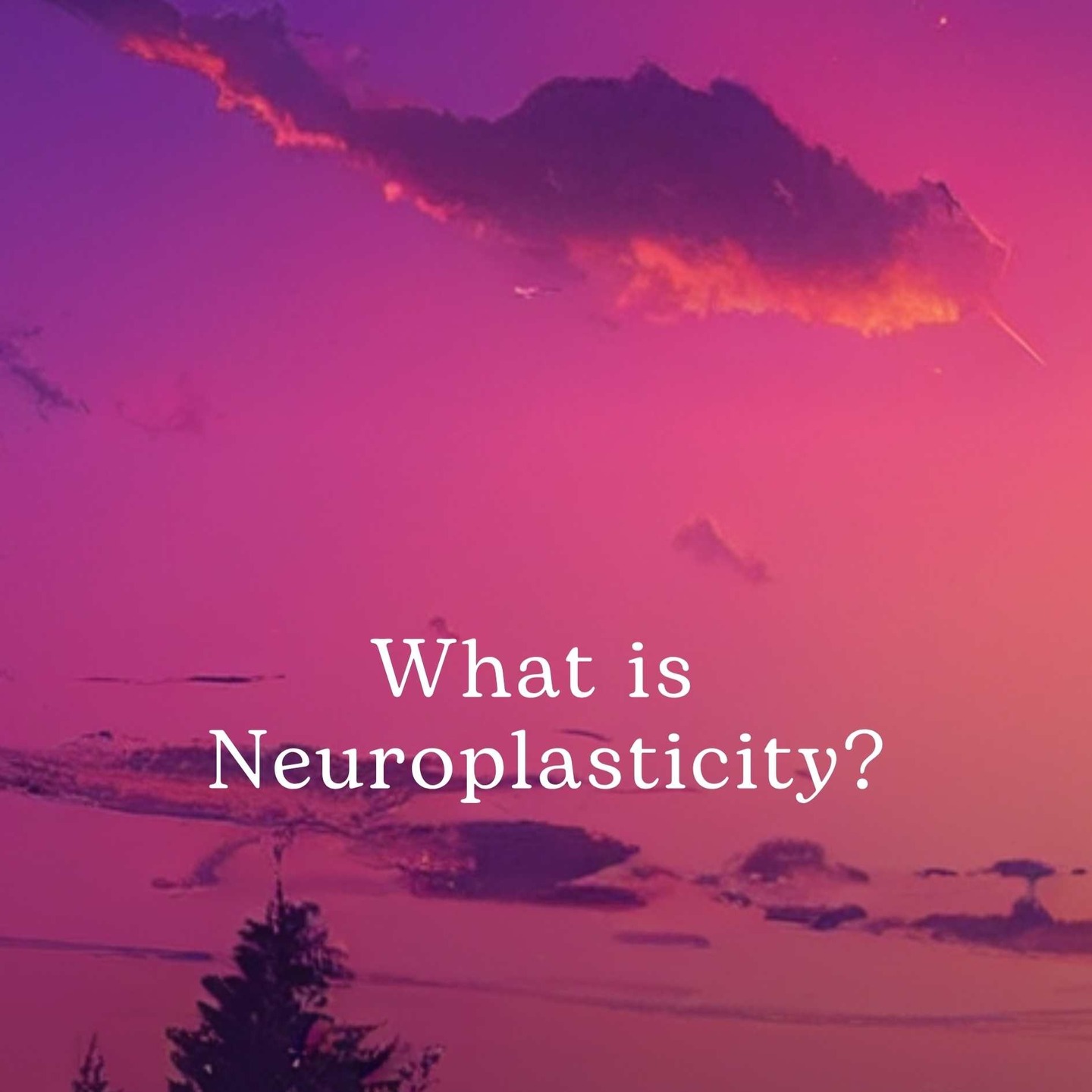 What is neuroplasticity?
Well, think of it like cognitive/brain re-wiring.
By changing the way we think and finding the positives in situations, you are able to training yourself to handle situations and your reactions better.
Our downloadable posters are designed to be dotted about the house or office and act as a simple reminder of positive outcomes or states of being.
Print them off and pop them in your son's lunch box,
Print them out for your office, or to go by your bed. The choice is yours
Just know that by seeing and taking on board the words you are flexing your braincells, raising your vibration and helping create more positive thought patterns!
So simple and yet, so effective!
#neuroplasticity #cognitive #cognitiverewiring #retrainyourbrain #littlegreycells #positivity #positivethoughtpatterns #raiseyourvibration #positiveprompts #wordart #downloadableart